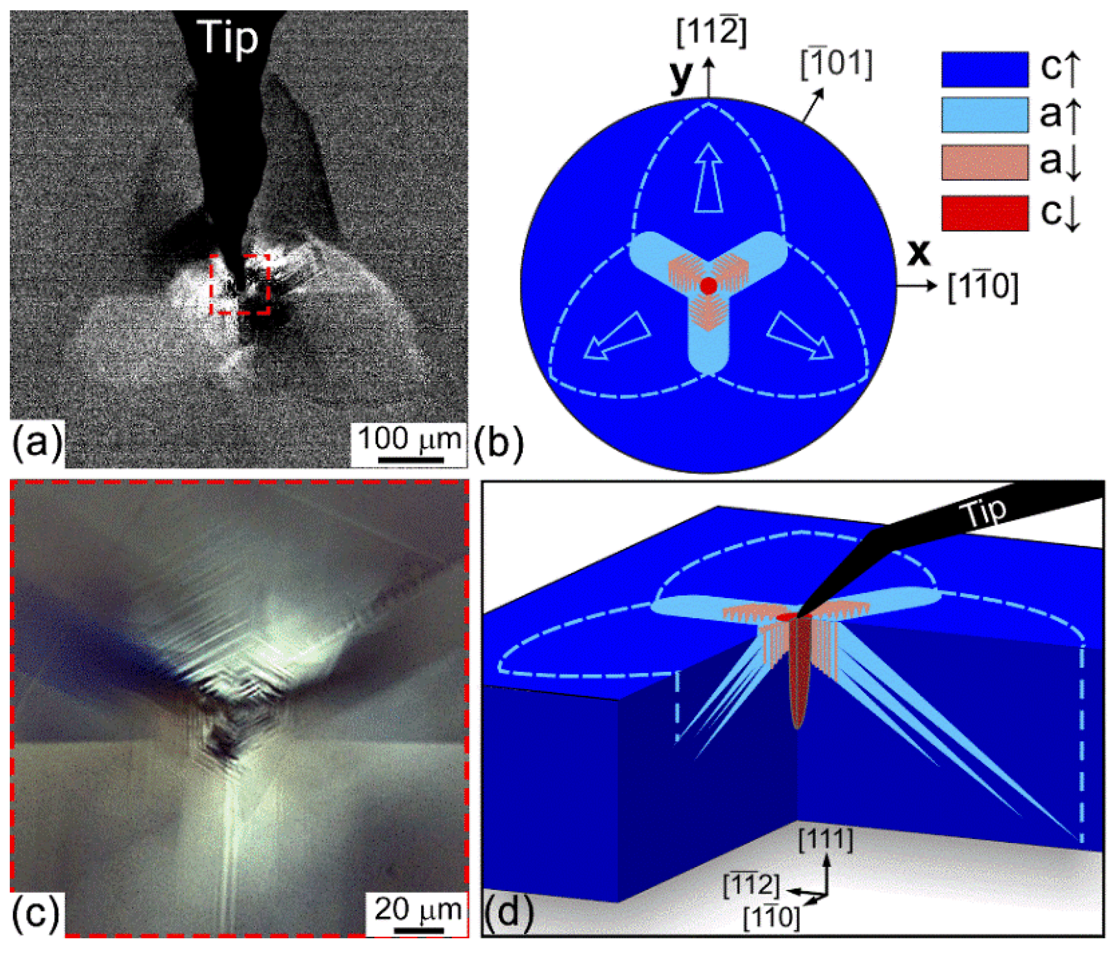Nanomaterials 12 03912 g002