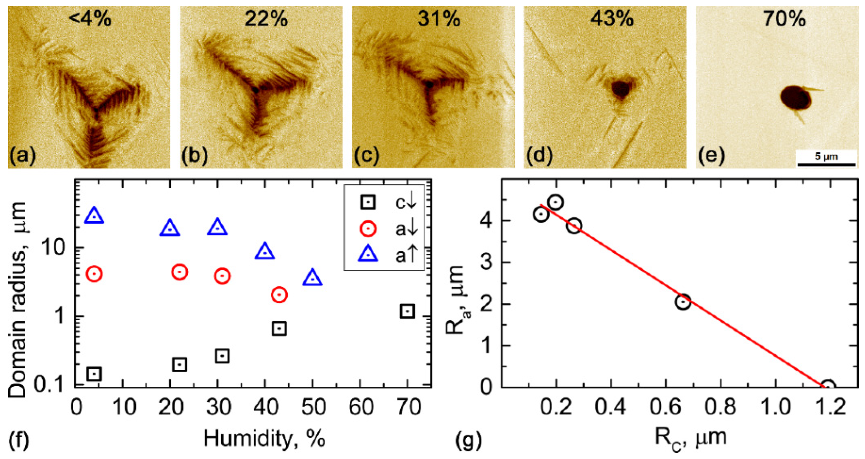 Nanomaterials 12 03912 g004