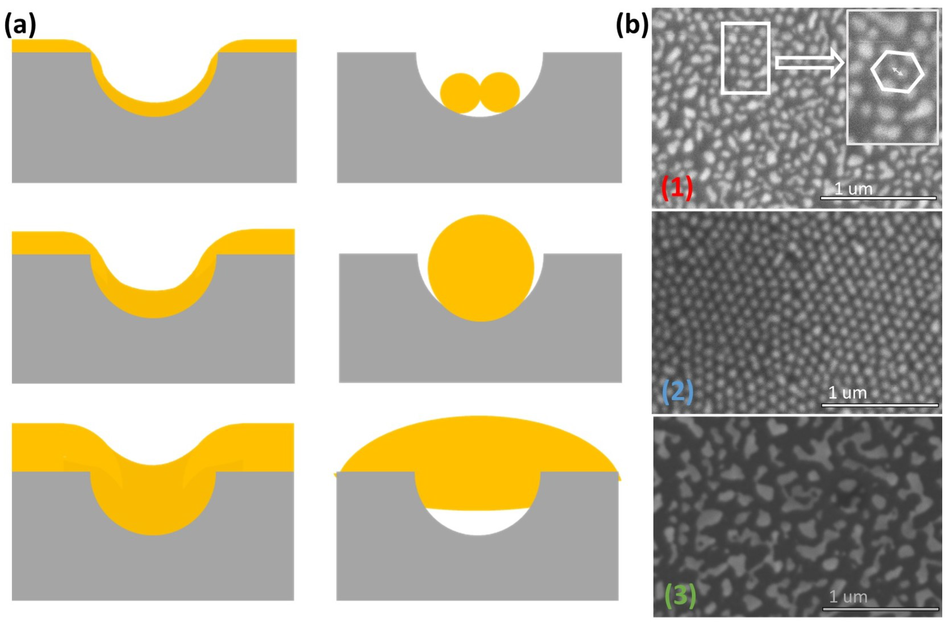 Nanomaterials 12 03929 g009