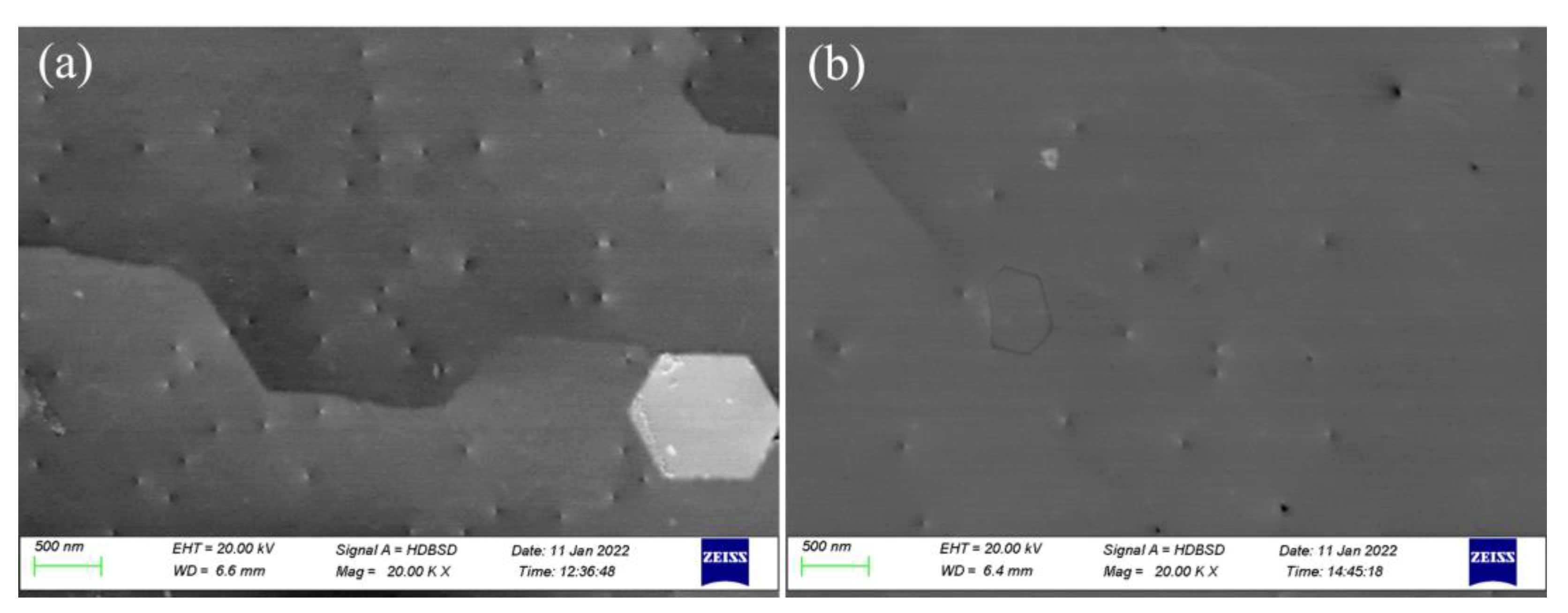 Nanomaterials 12 03937 g007 Nanomaterials 12 03937 g007