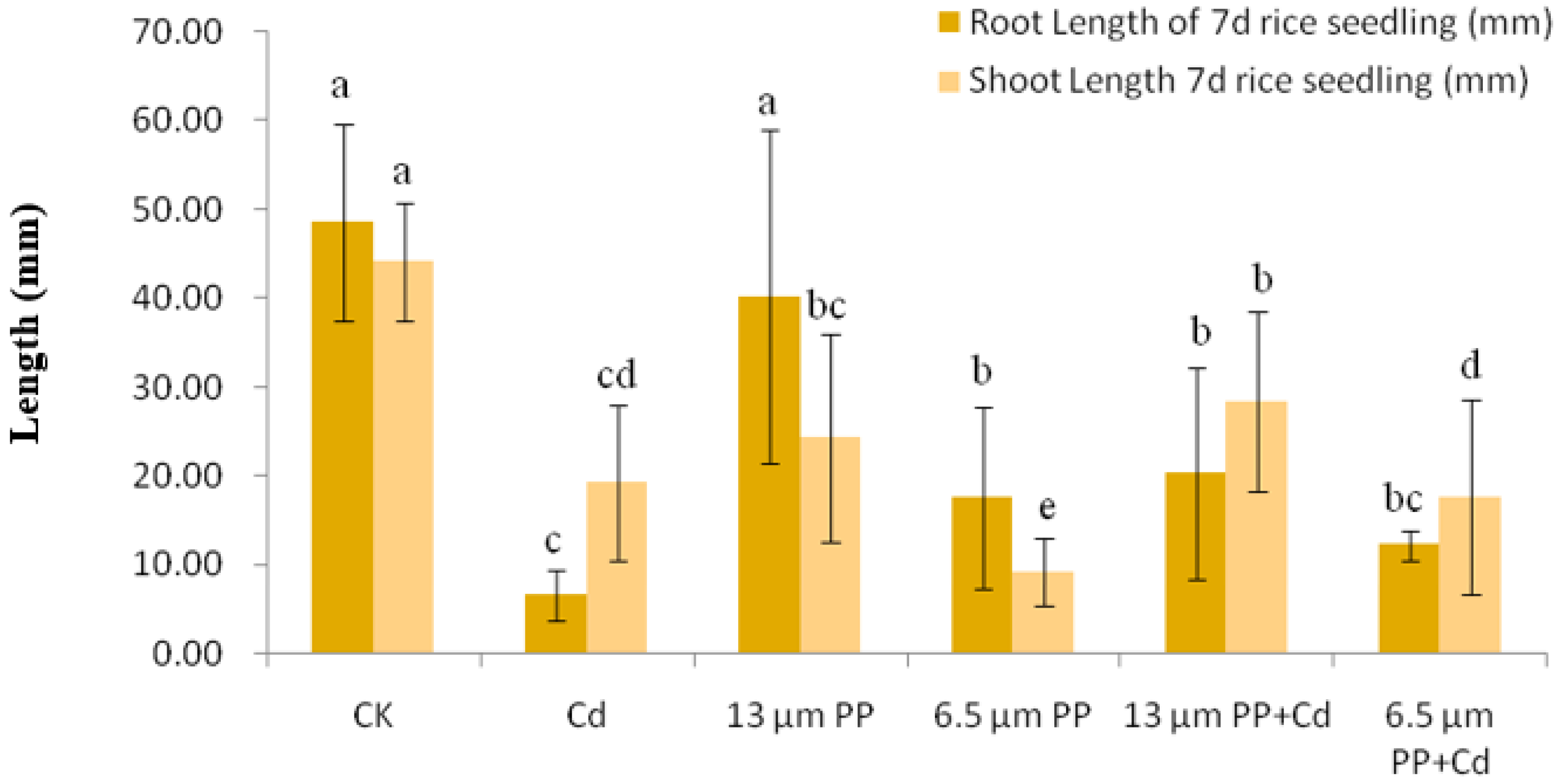 Nanomaterials 12 03967 g002