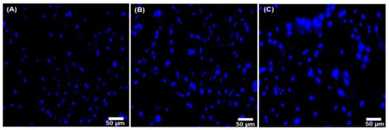 Nanomaterials, Free Full-Text