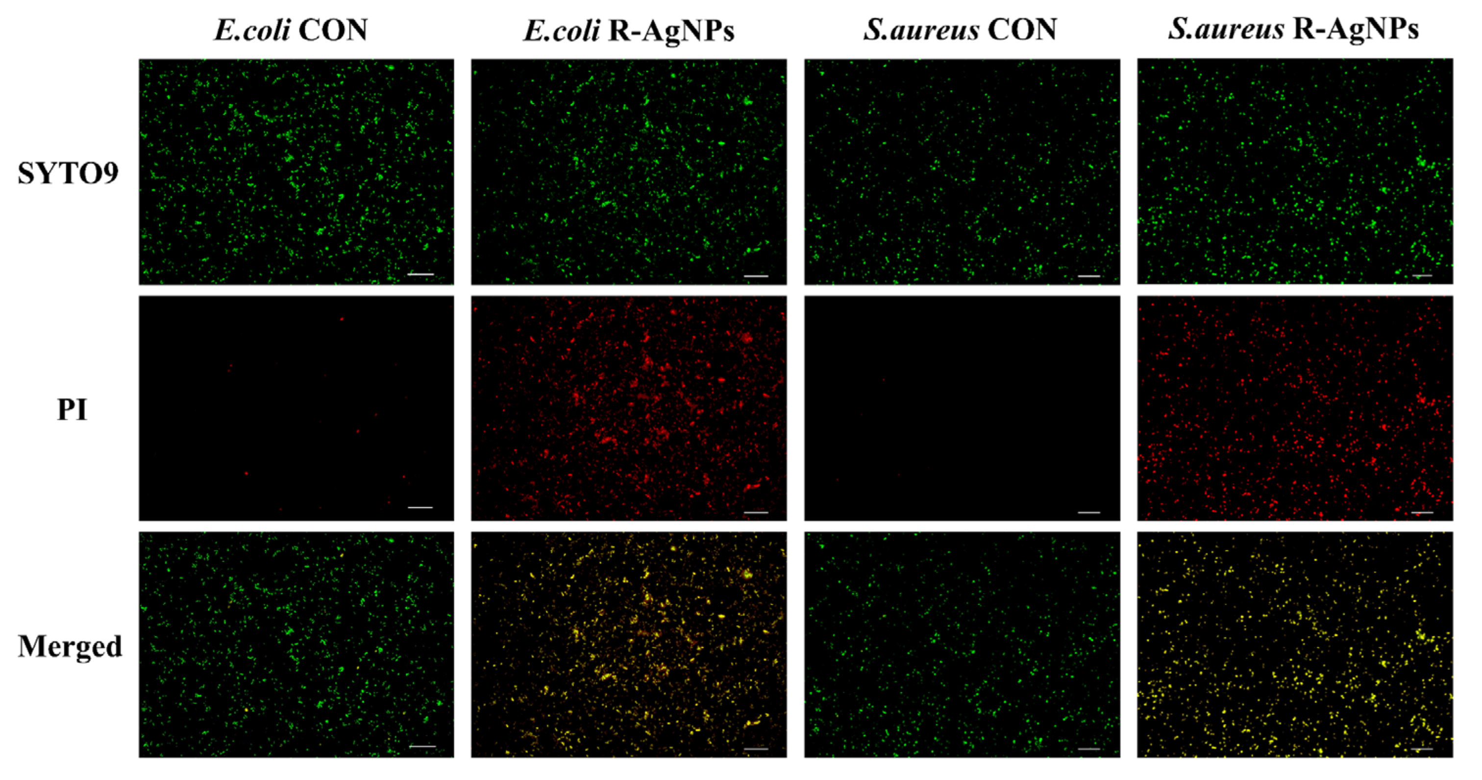 Nanomaterials 12 04052 g009 Nanomaterials 12 04052 g009