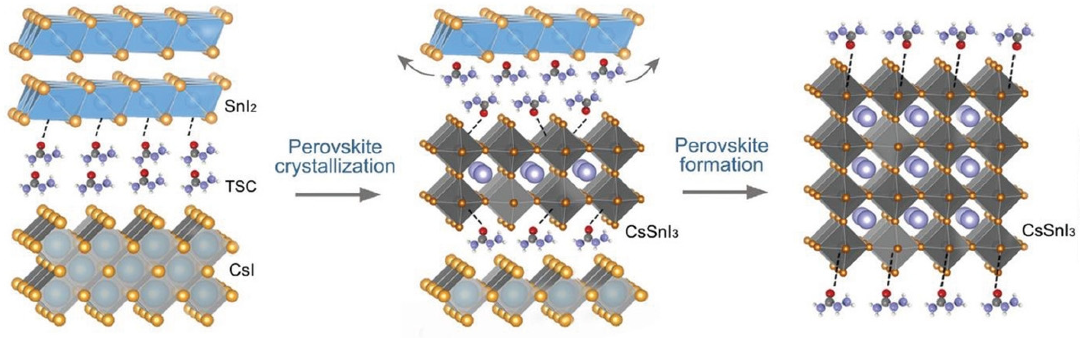 Nanomaterials 12 04055 g019
