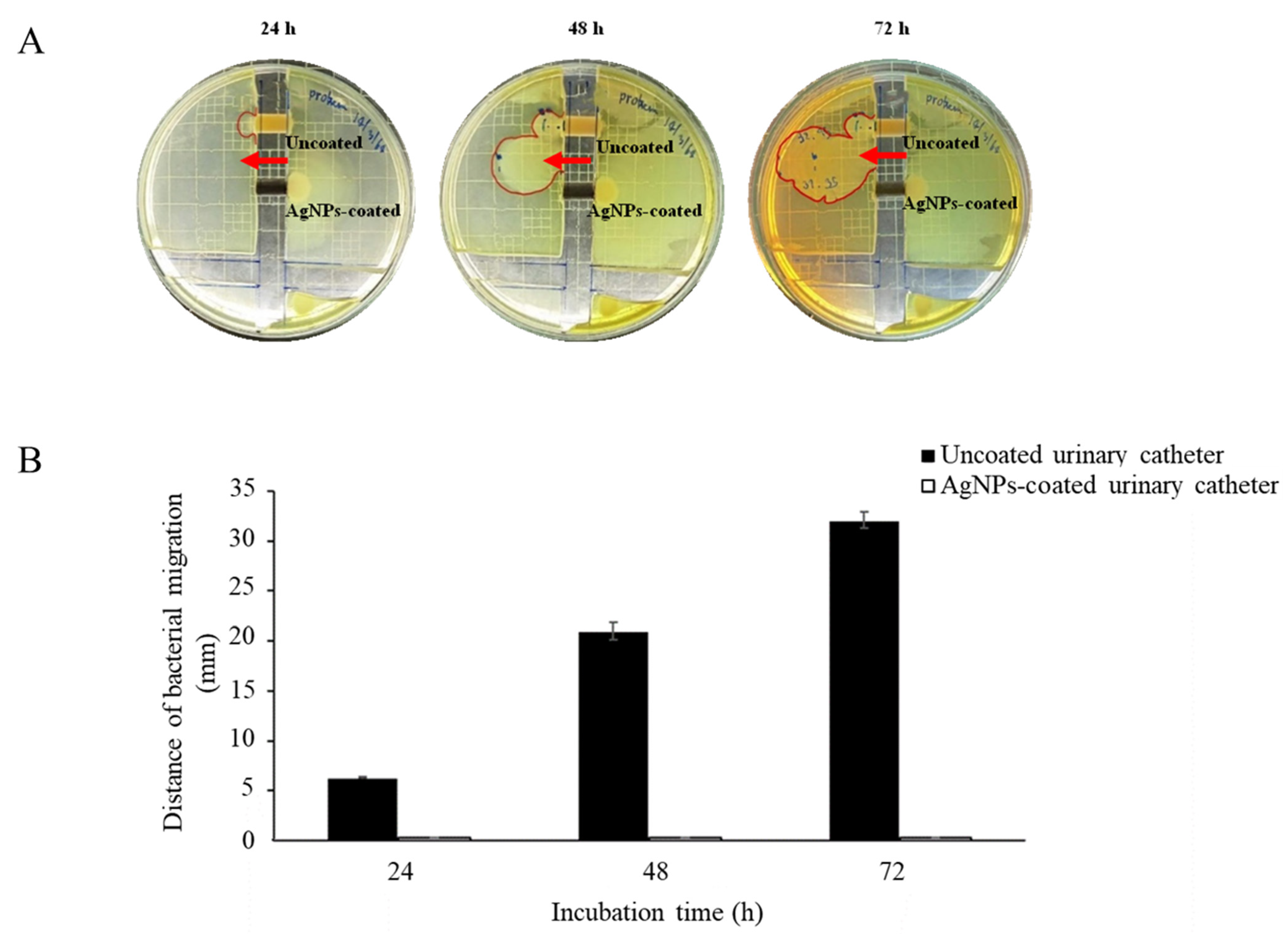 Nanomaterials 12 04059 g006