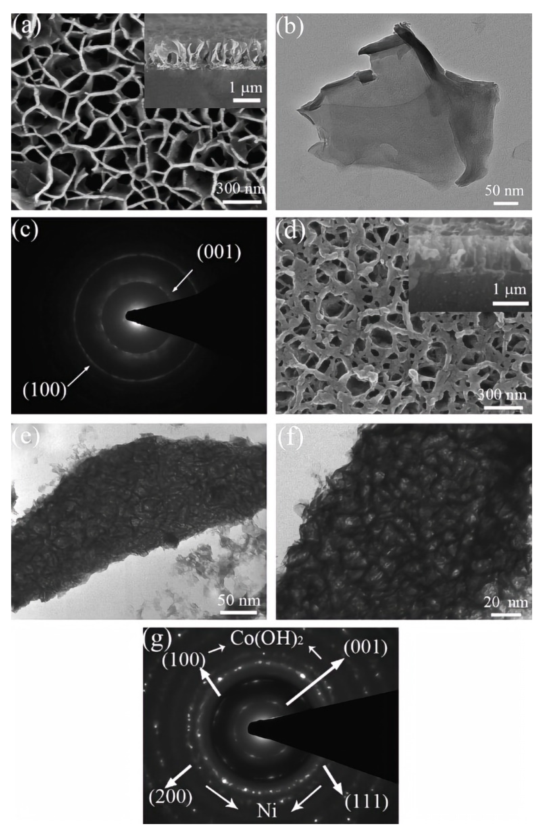 Nanomaterials 12 04065 g003 Nanomaterials 12 04065 g003