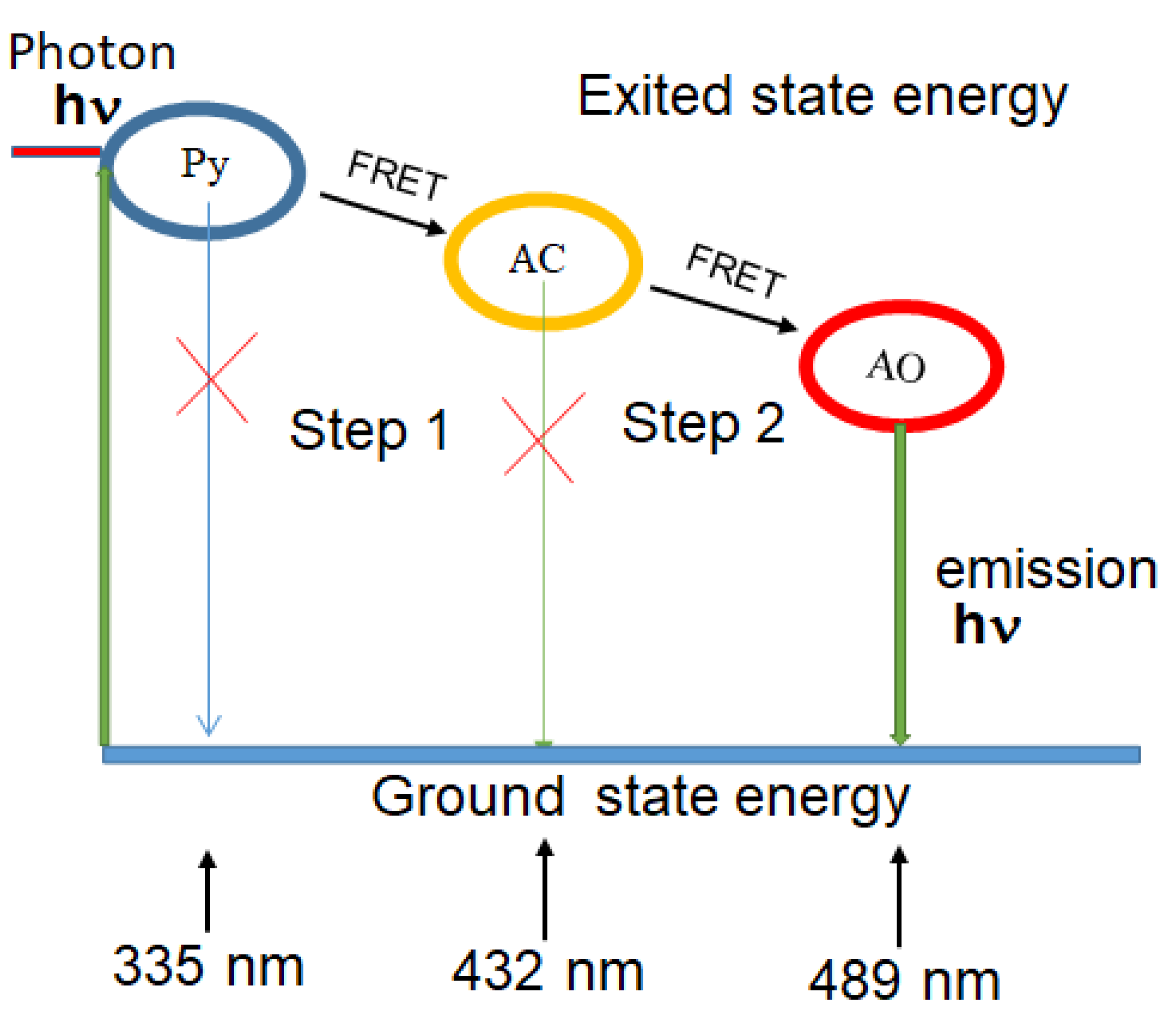 Nanomaterials 12 04085 g001