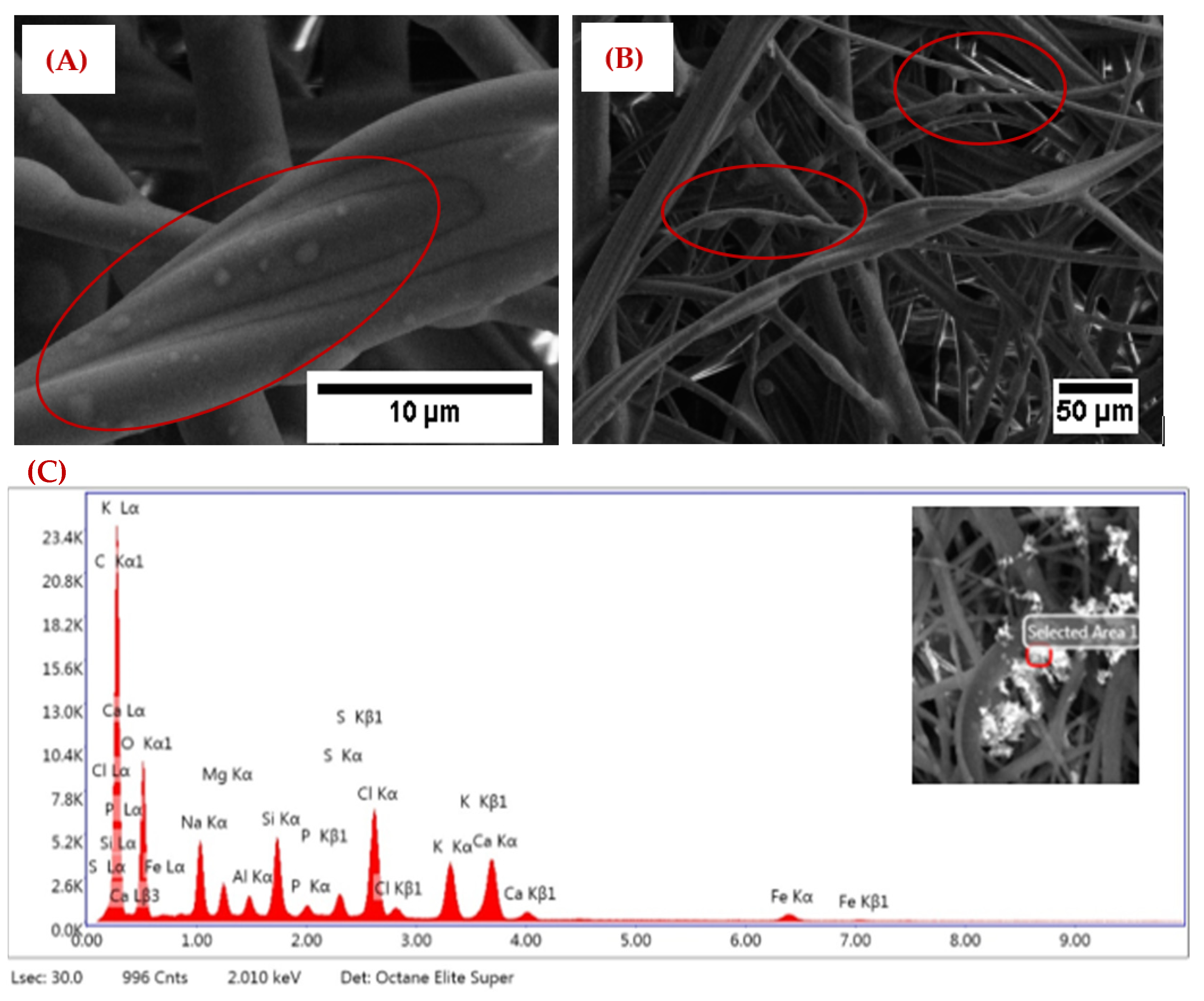 Nanomaterials 12 04094 g002
