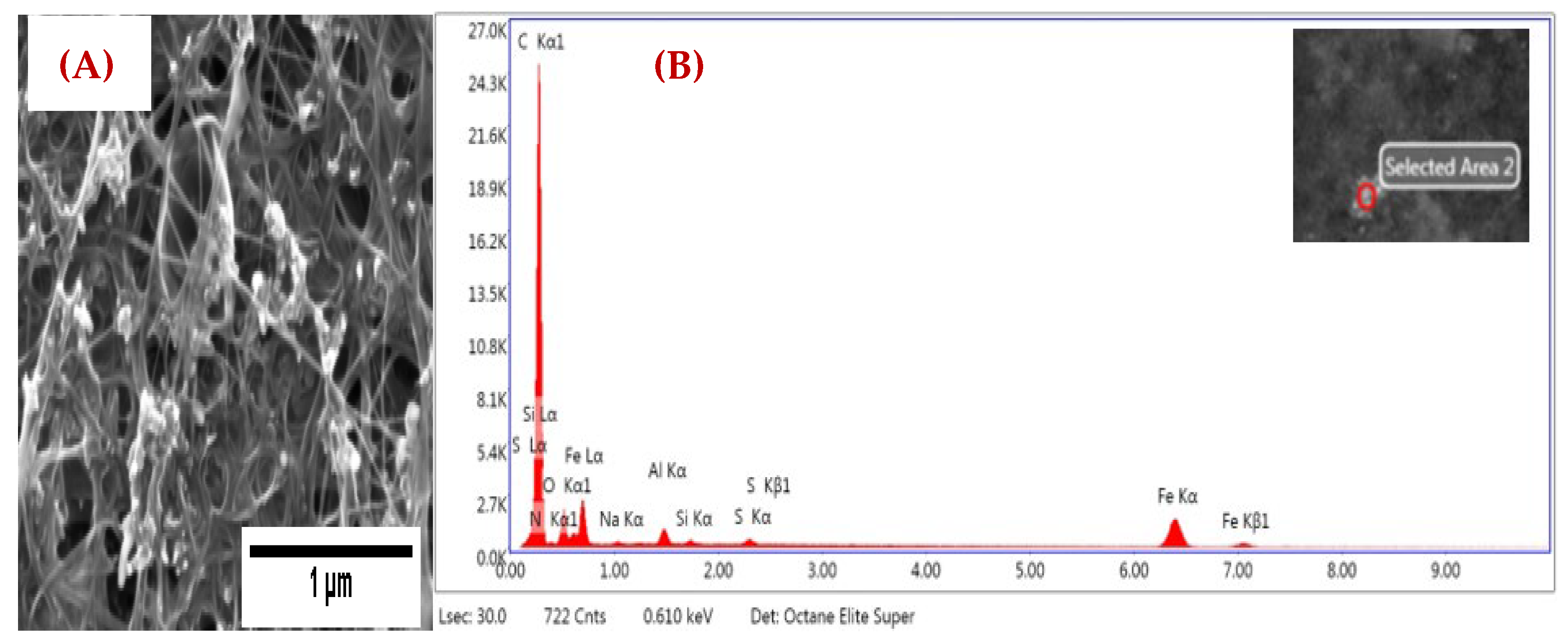 Nanomaterials 12 04094 g003