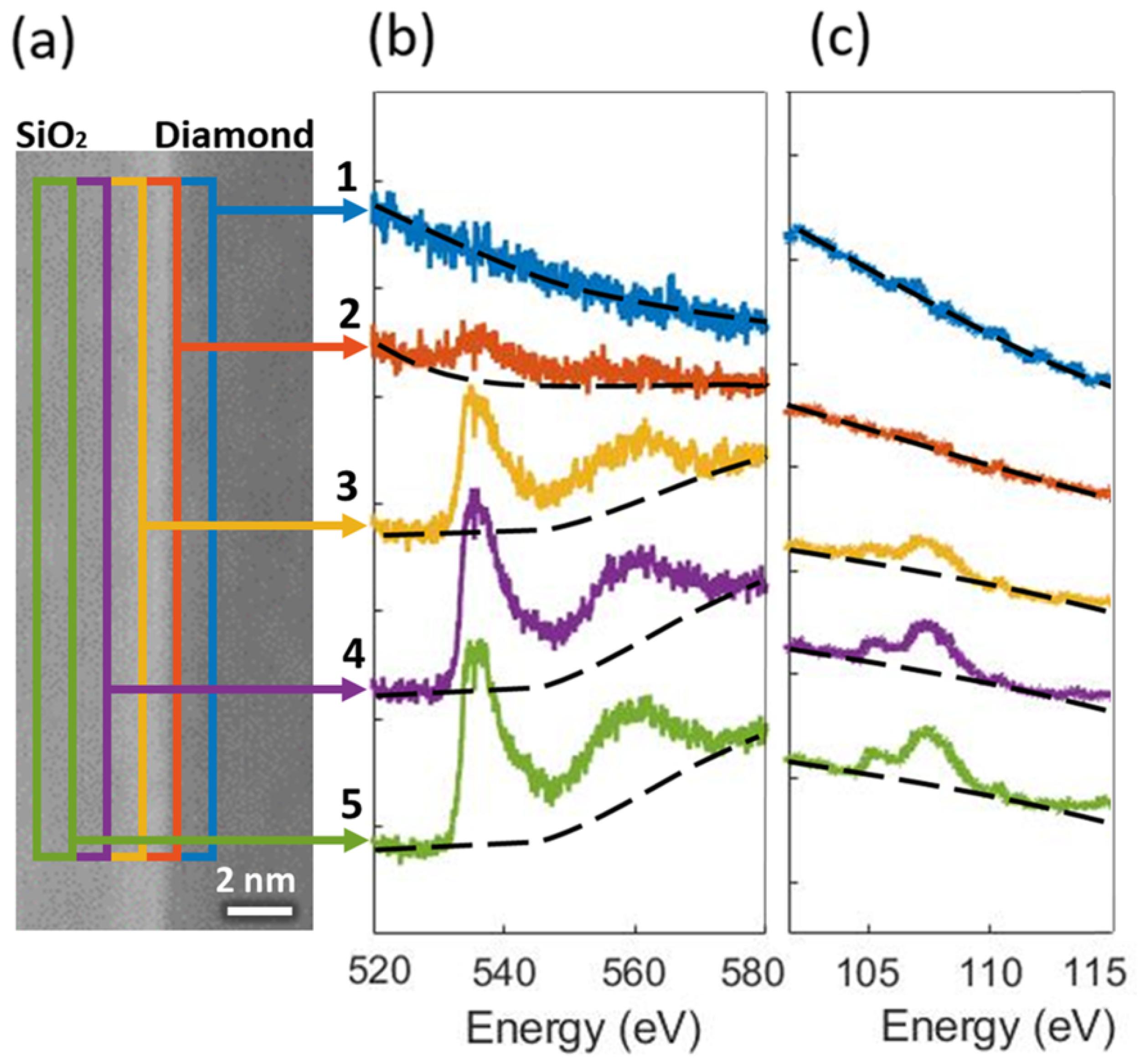 Nanomaterials 12 04125 g004