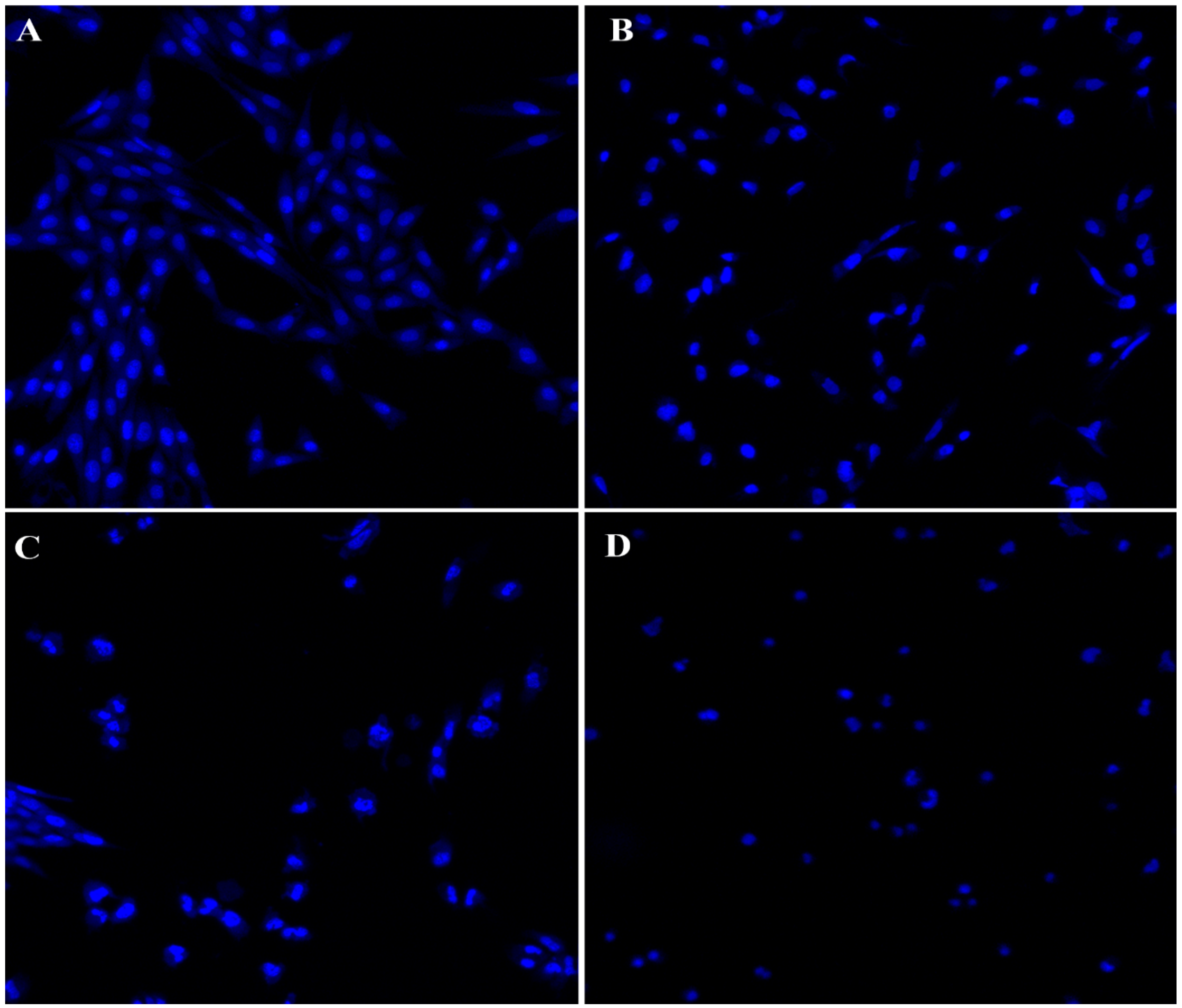 Nanomaterials 12 04167 g012