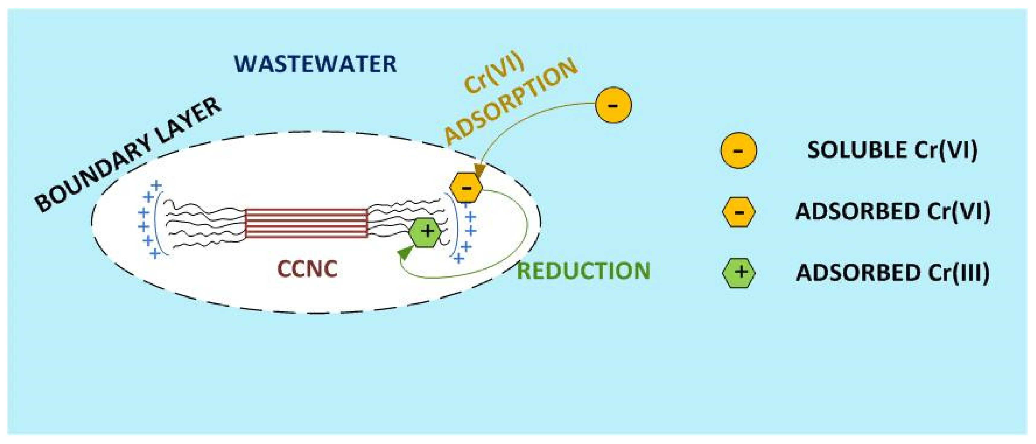 Nanomaterials 12 04172 g010