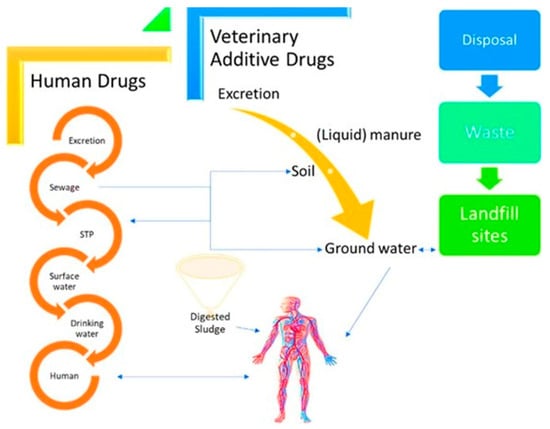 Nano-Wonders: How Titanium Dioxide is Revolutionizing Water Treatment