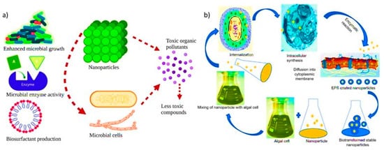 Nano-Wonders: How Titanium Dioxide is Revolutionizing Water Treatment