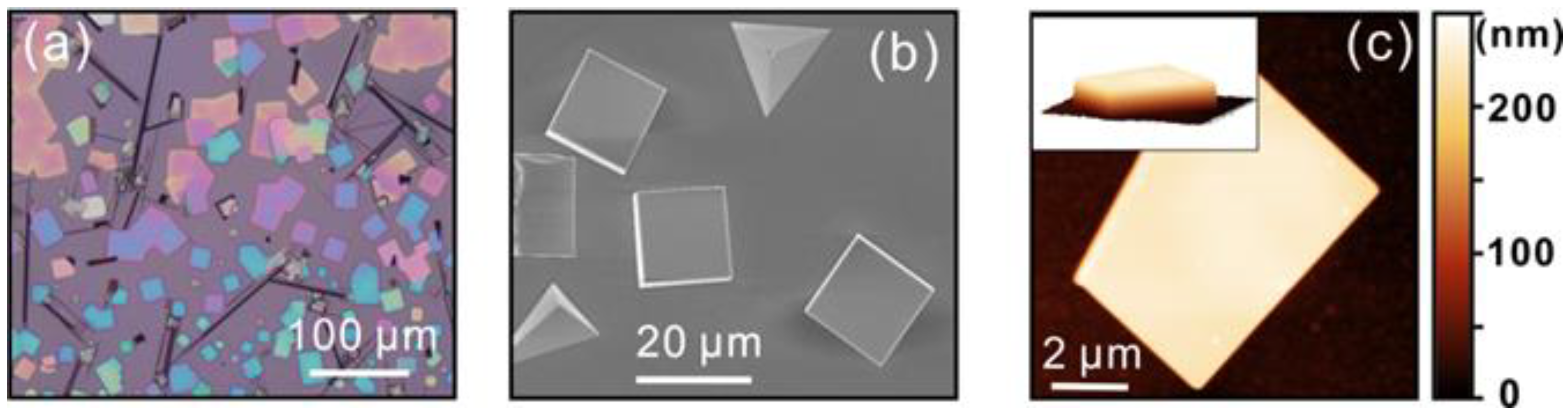 Nanomaterials 12 04205 g001