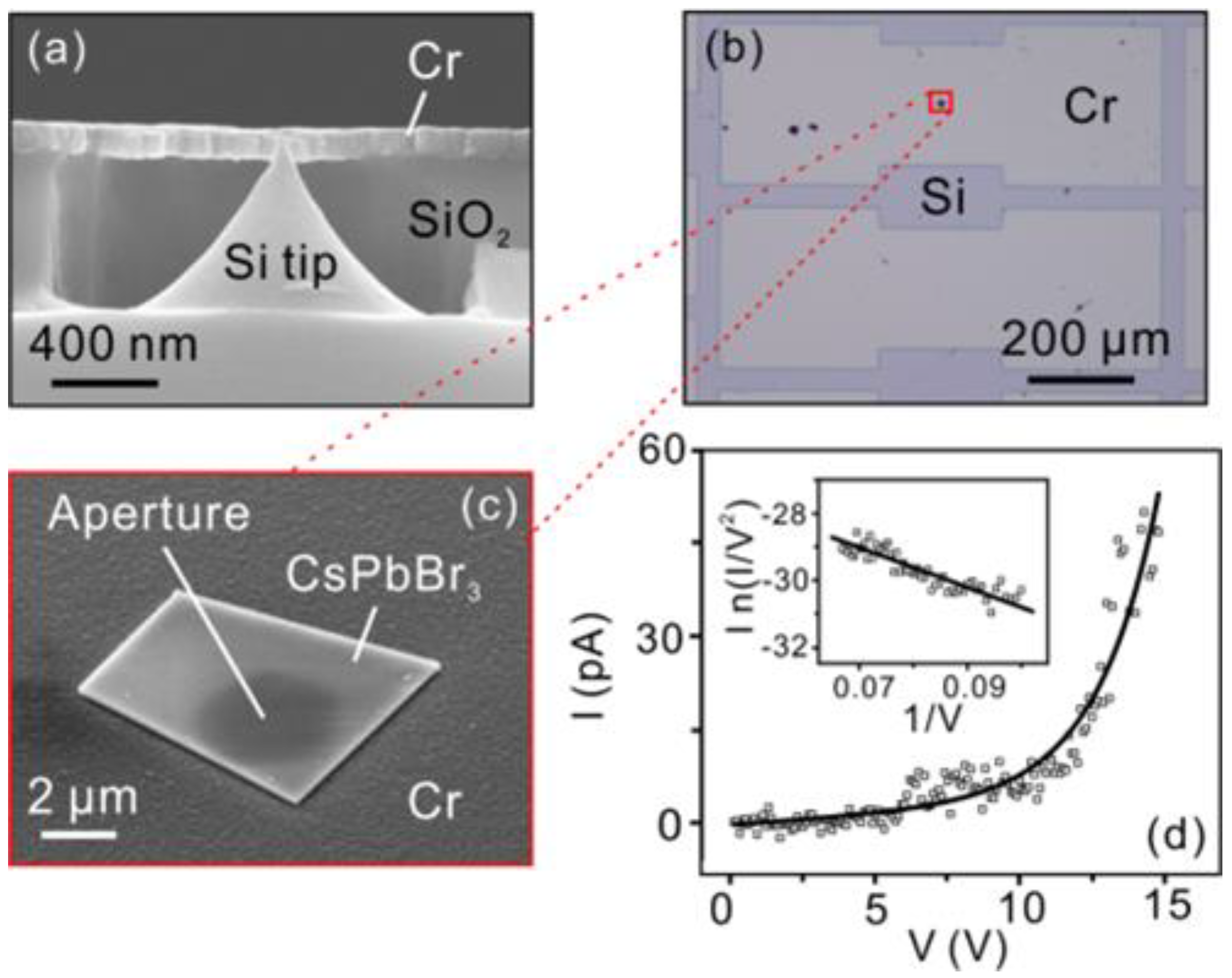 Nanomaterials 12 04205 g003