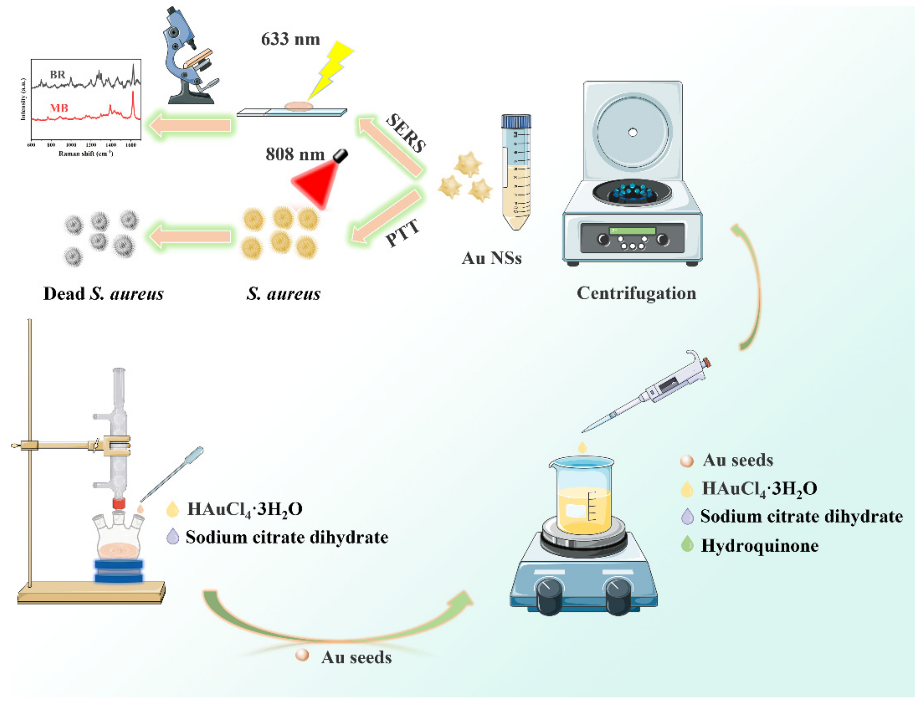 Nanomaterials 12 04232 sch001