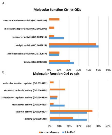 Nanomaterials Free Full Text Protein Analysis of A. halleri