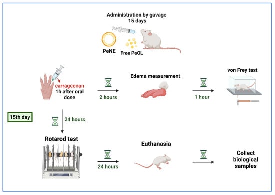 Nanomaterials, Free Full-Text