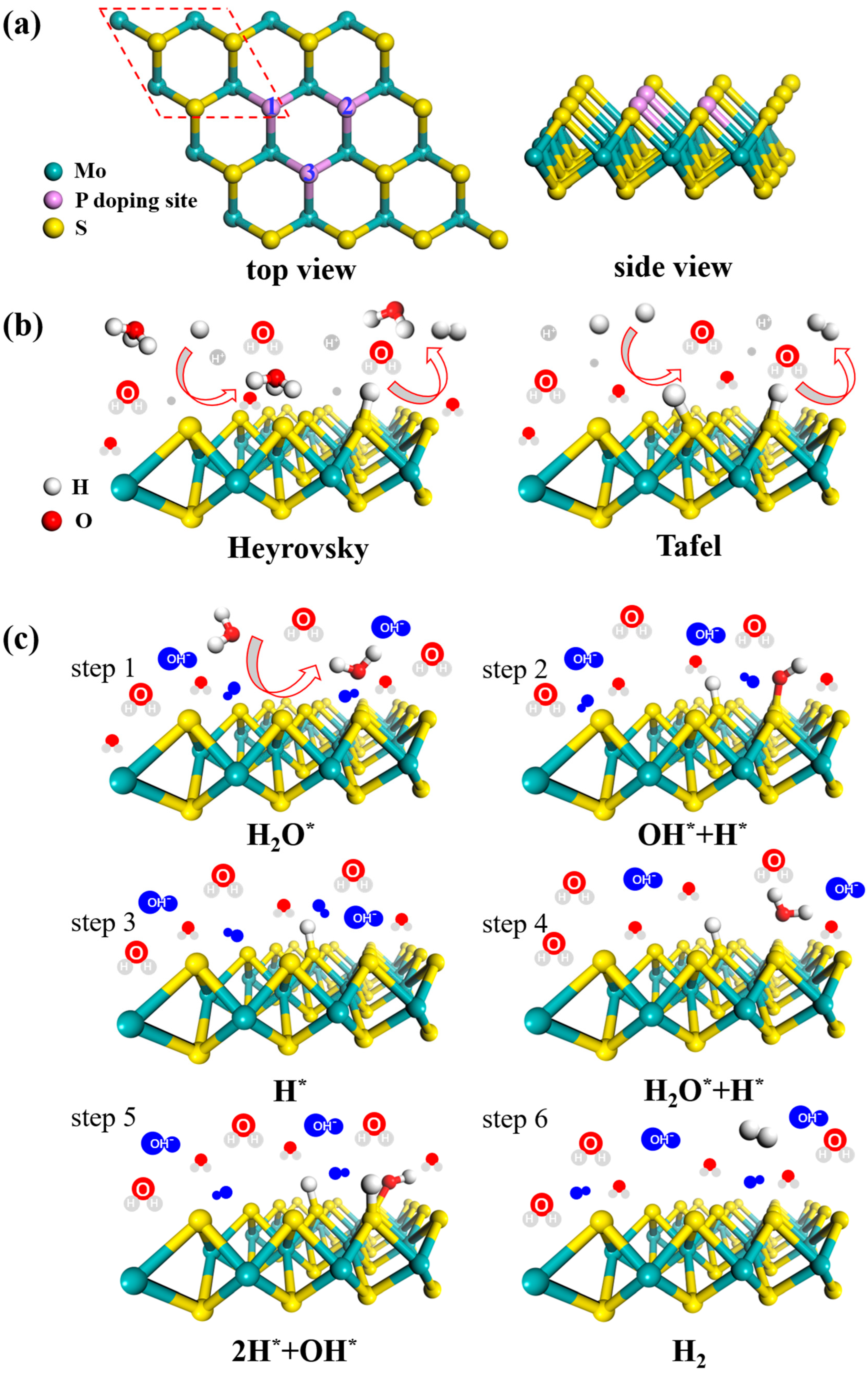 Nanomaterials 12 04273 g001
