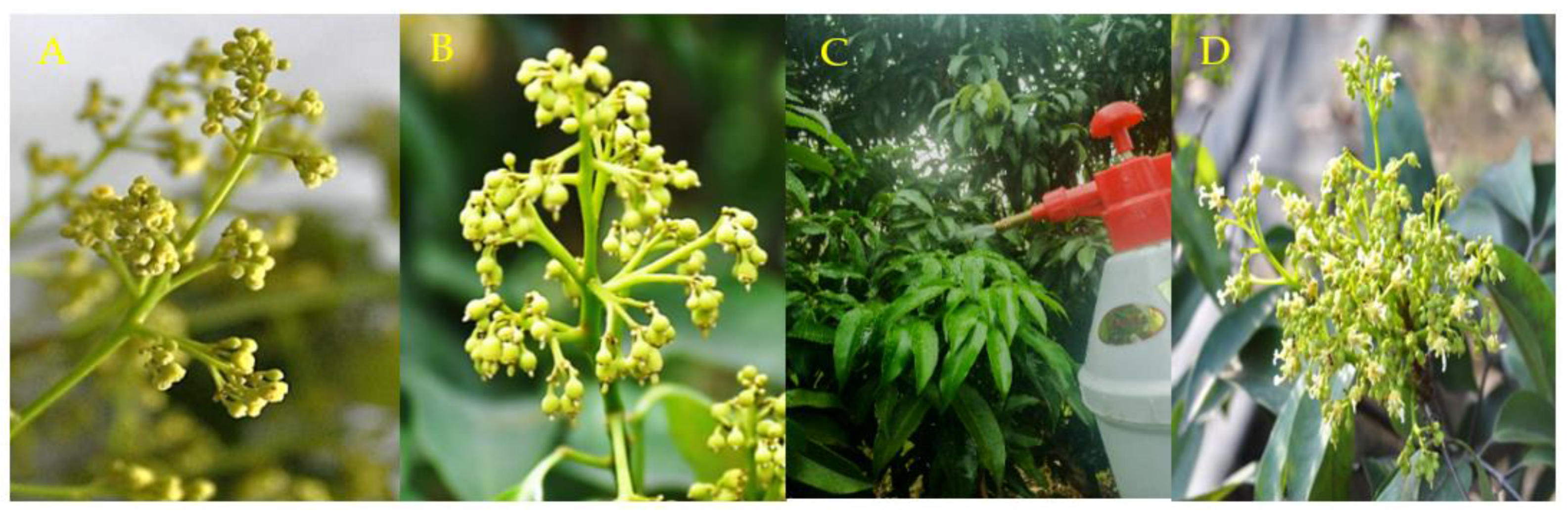 Nanomaterials 12 04287 g006 Nanomaterials 12 04287 g006