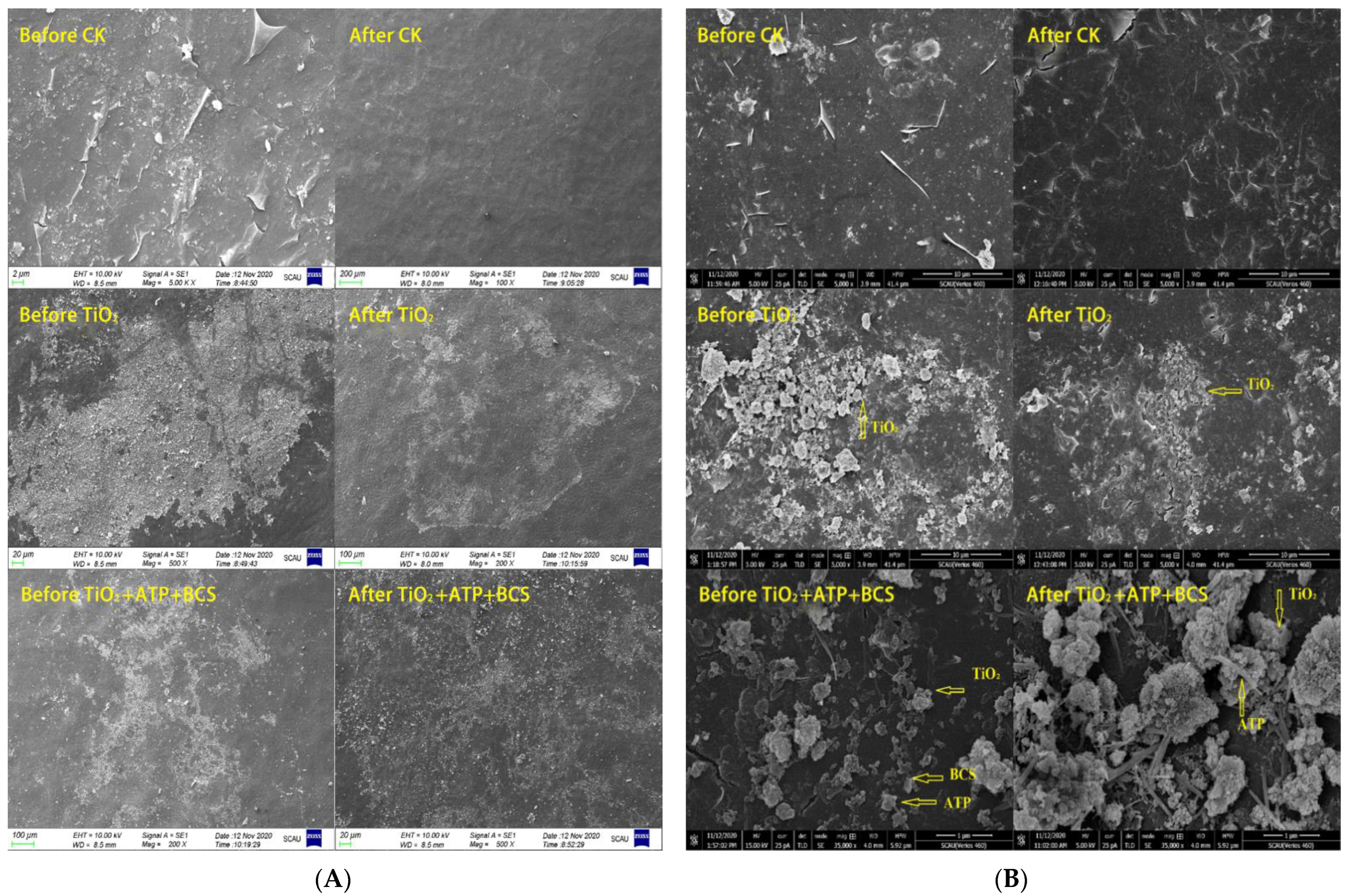 Nanomaterials 12 04287 g007 Nanomaterials 12 04287 g007
