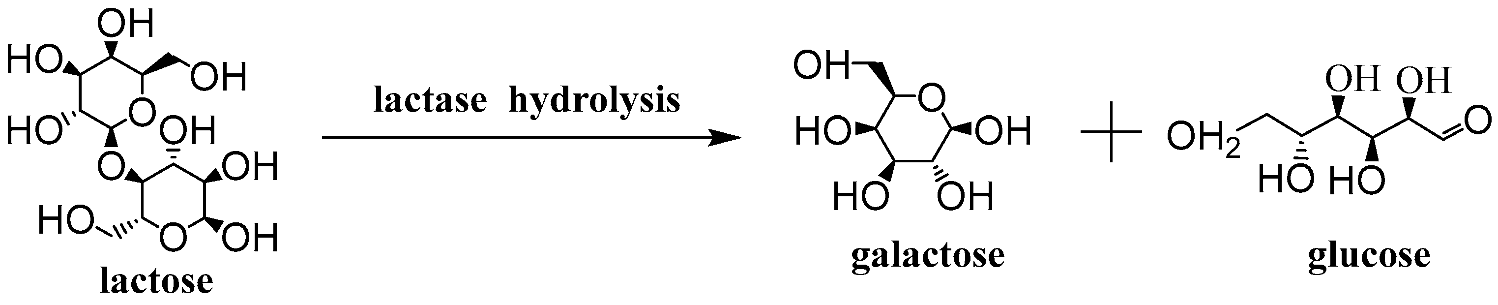 Nanomaterials 12 04290 i001 Nanomaterials 12 04290 i001