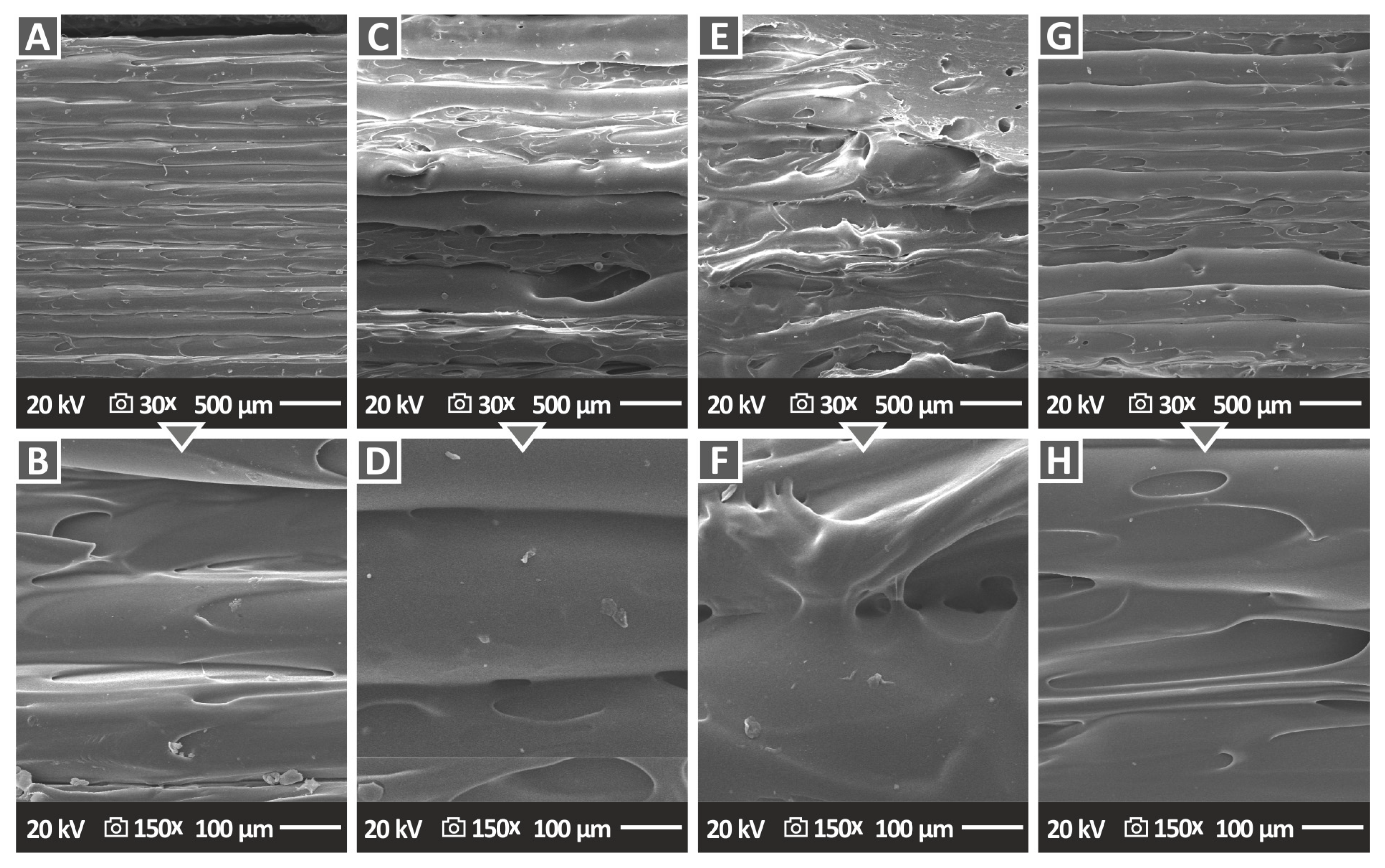Nanomaterials 12 04292 g010