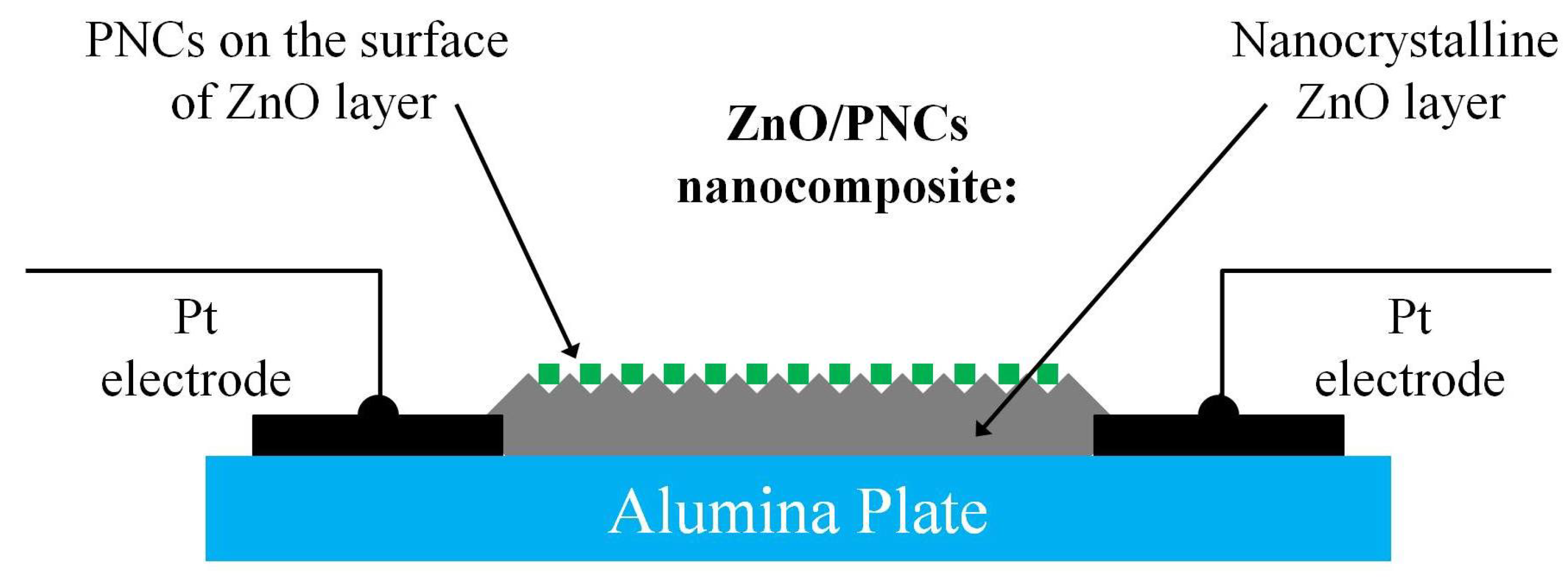 Nanomaterials 12 04316 g001