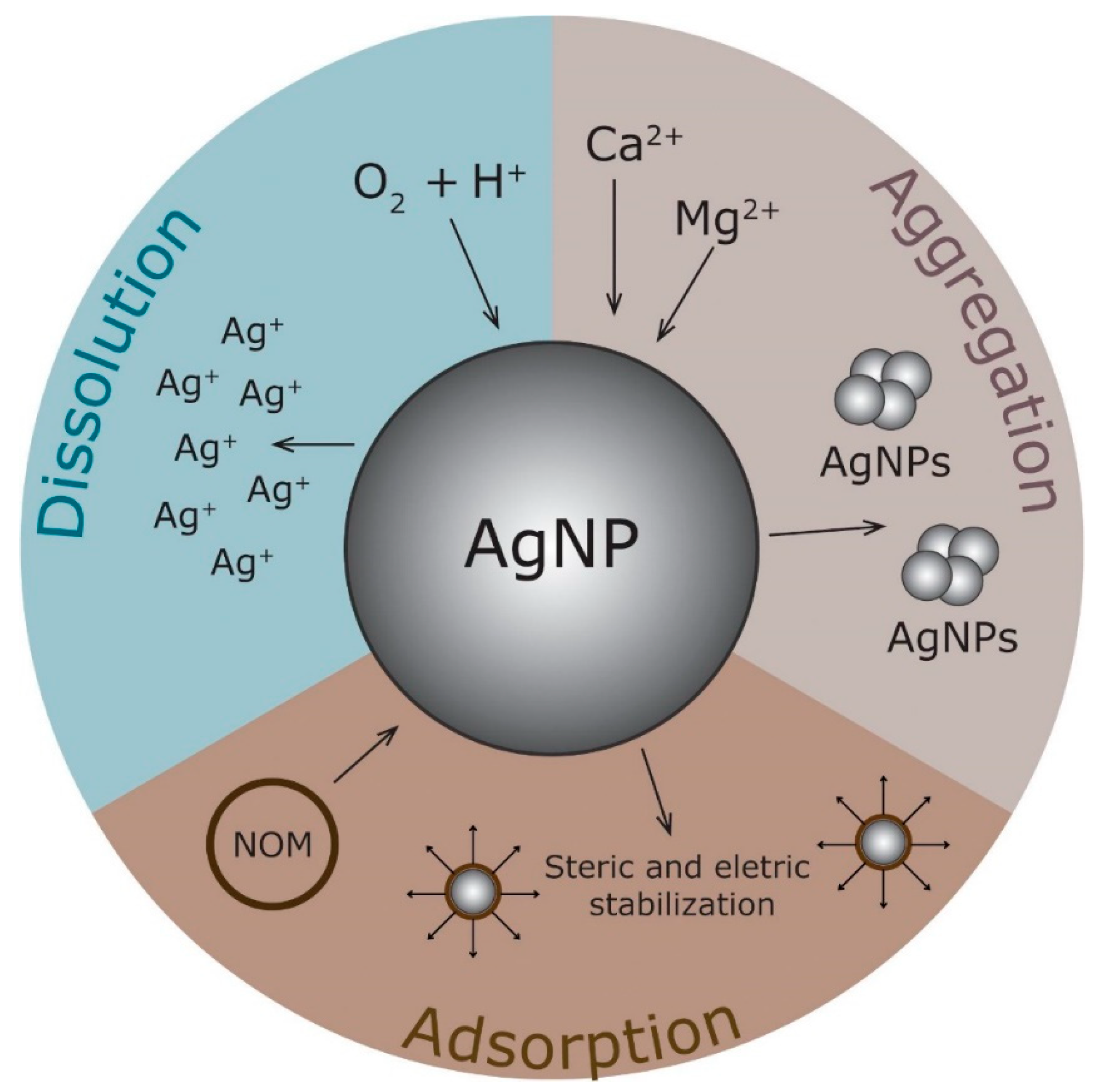 Nanomaterials 12 04319 g002 Nanomaterials 12 04319 g002