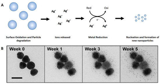 https://www.mdpi.com/nanomaterials/nanomaterials-12-04319/article_deploy/html/images/nanomaterials-12-04319-g004-550.jpg