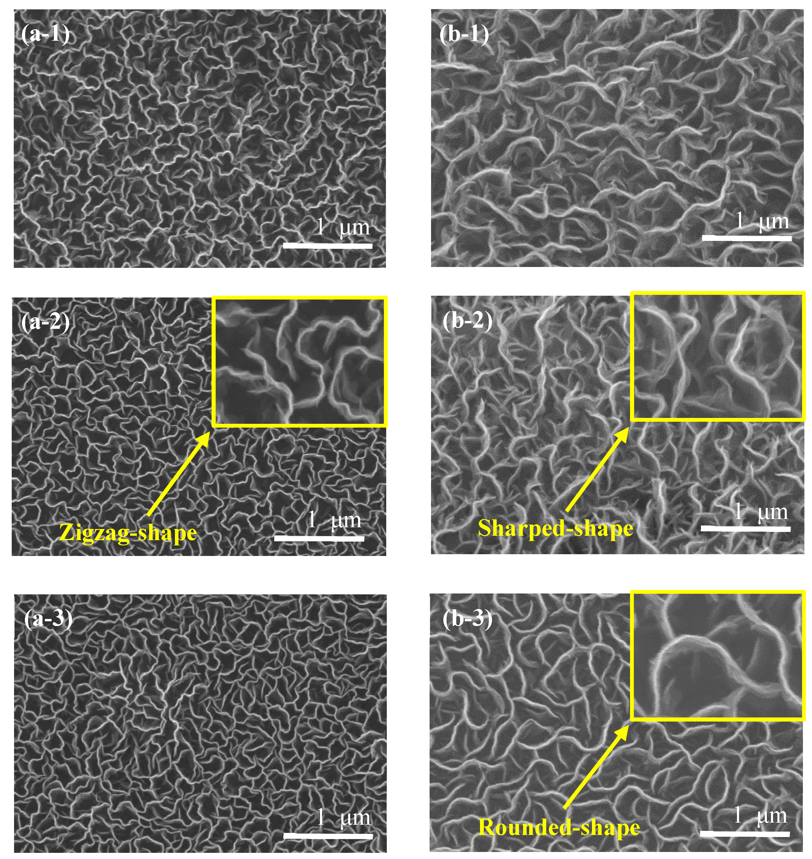 Nanomaterials 12 04334 g001 Nanomaterials 12 04334 g001
