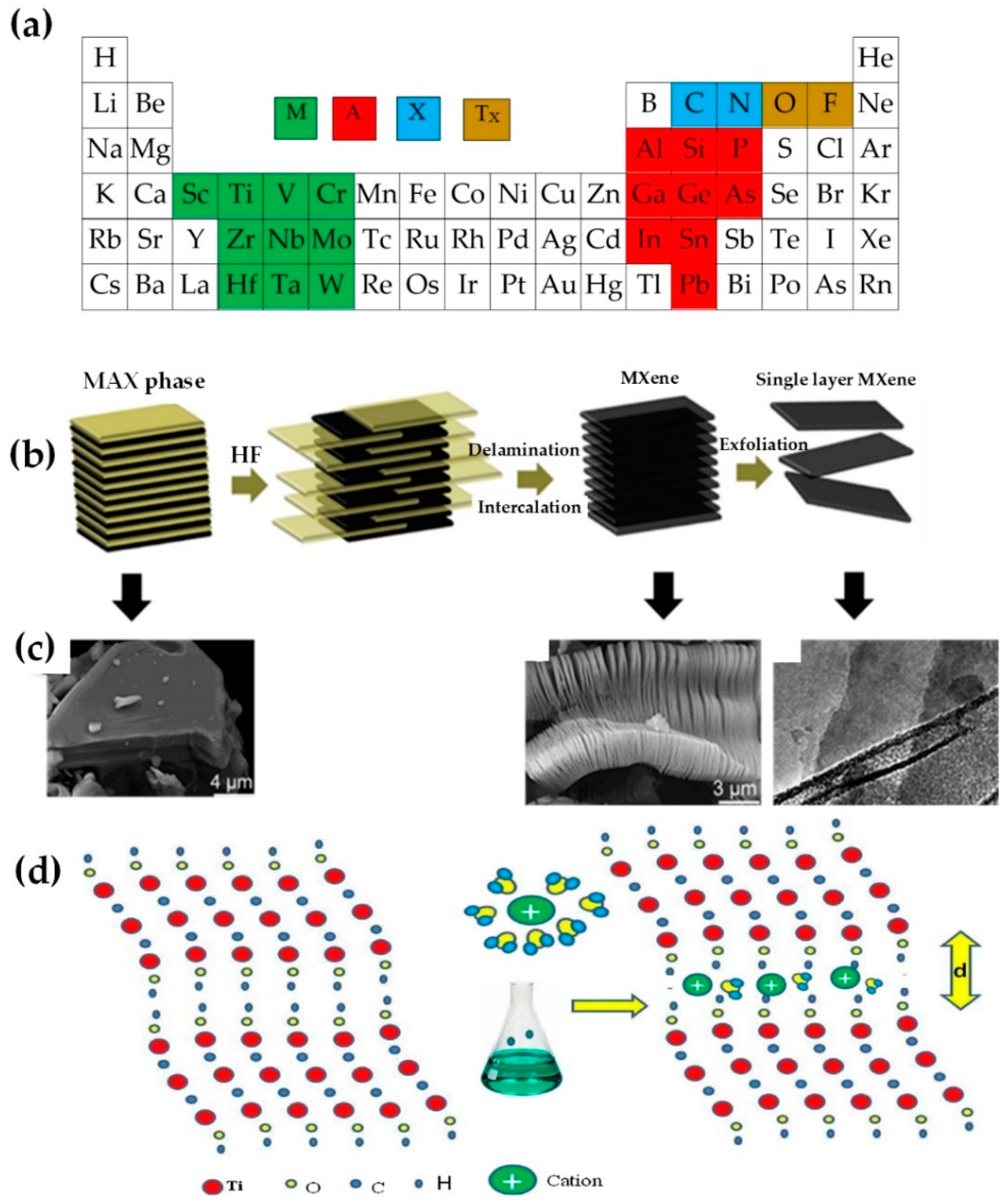 Nanomaterials 12 04346 g001