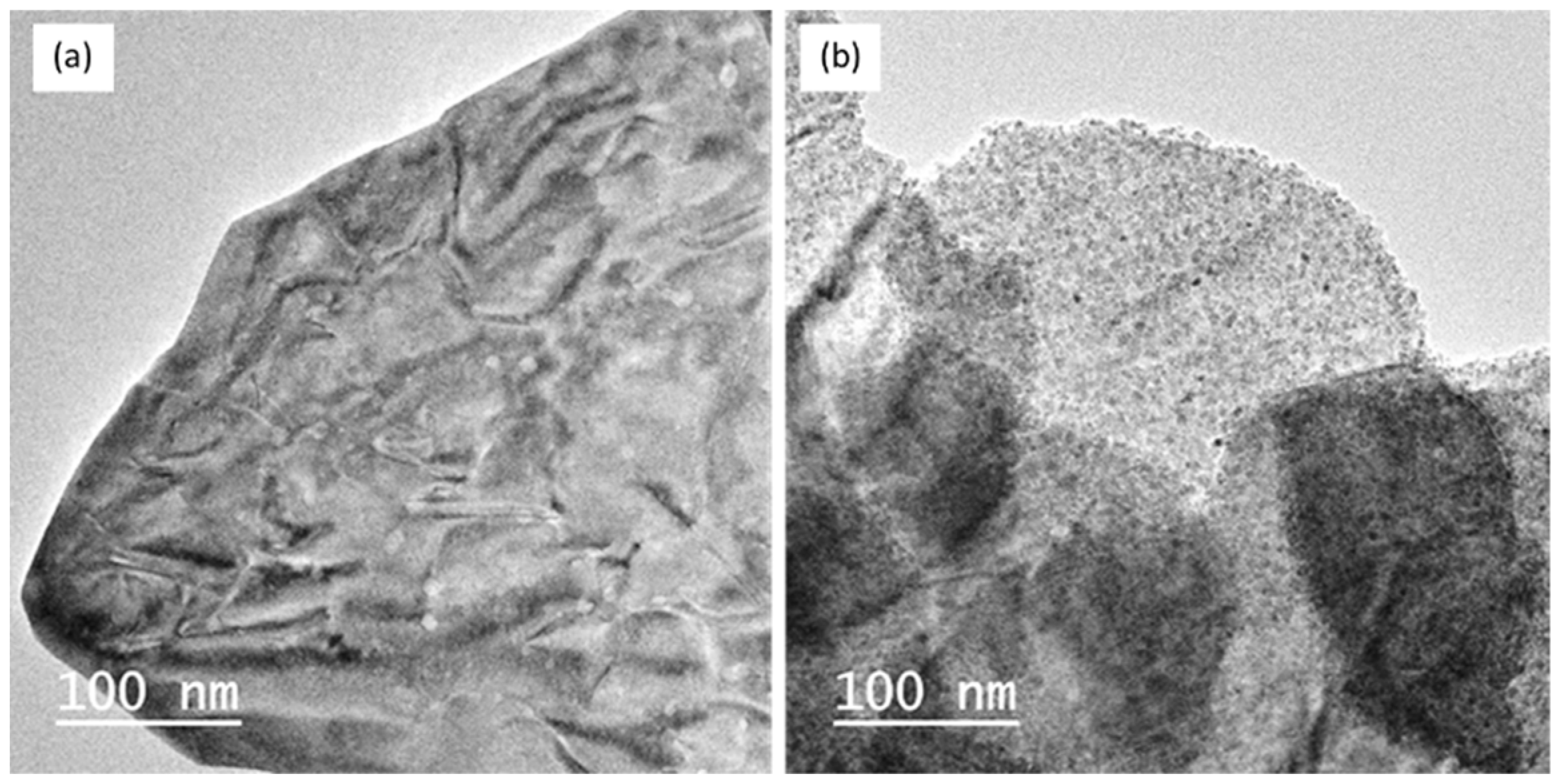 Nanomaterials 12 04360 g010