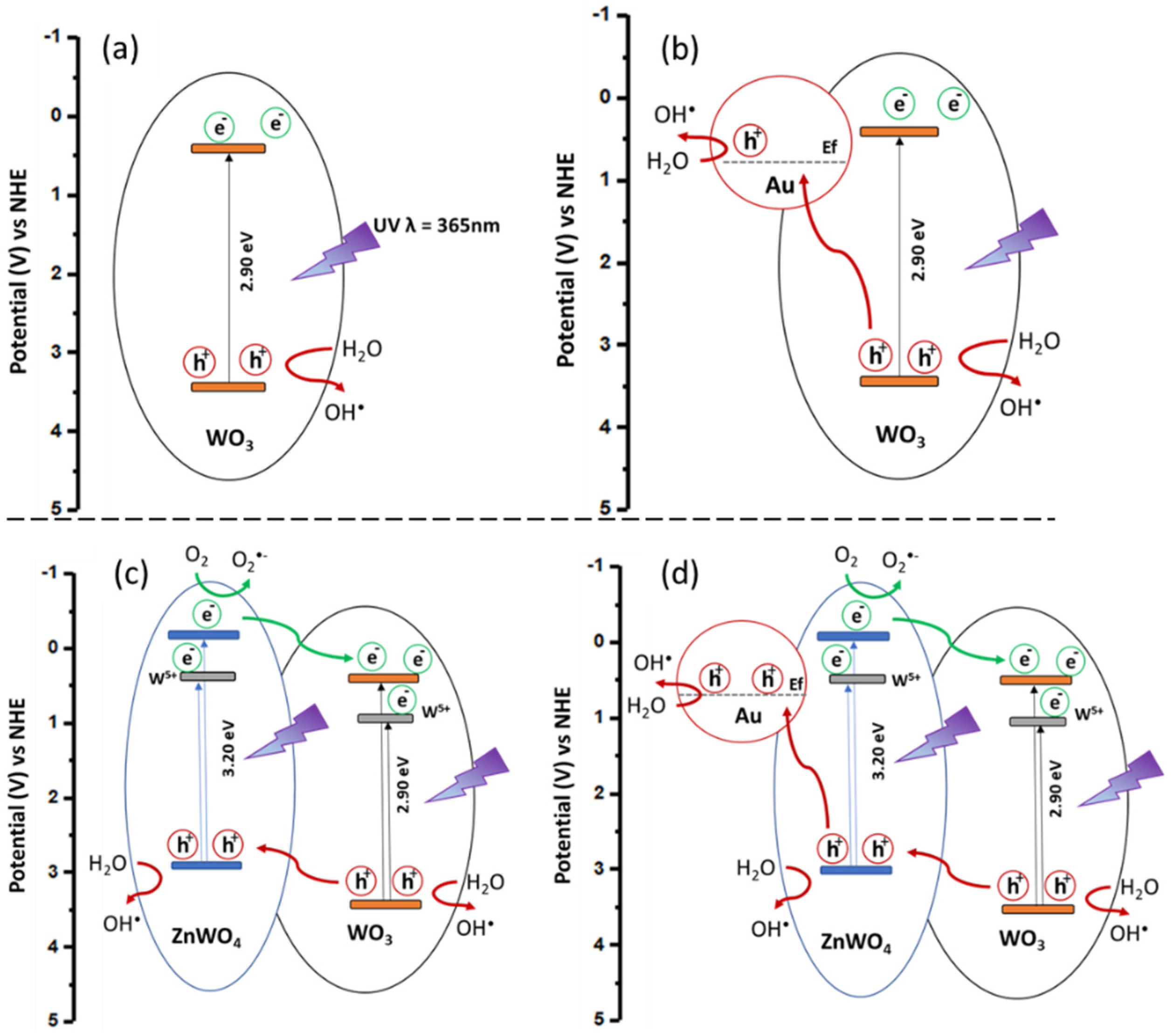Nanomaterials 12 04360 g019