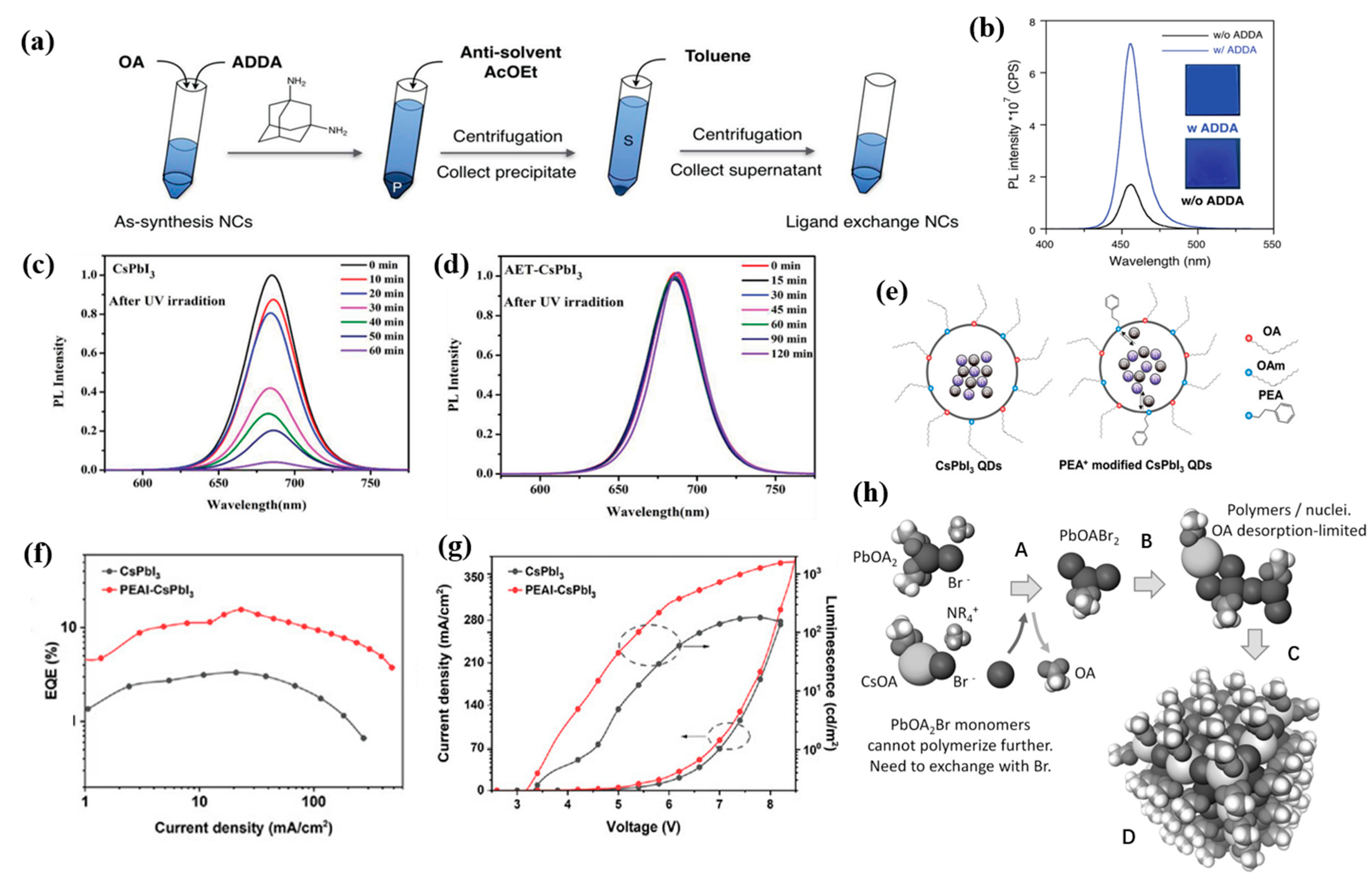 Nanomaterials 12 04372 g004 Nanomaterials 12 04372 g004