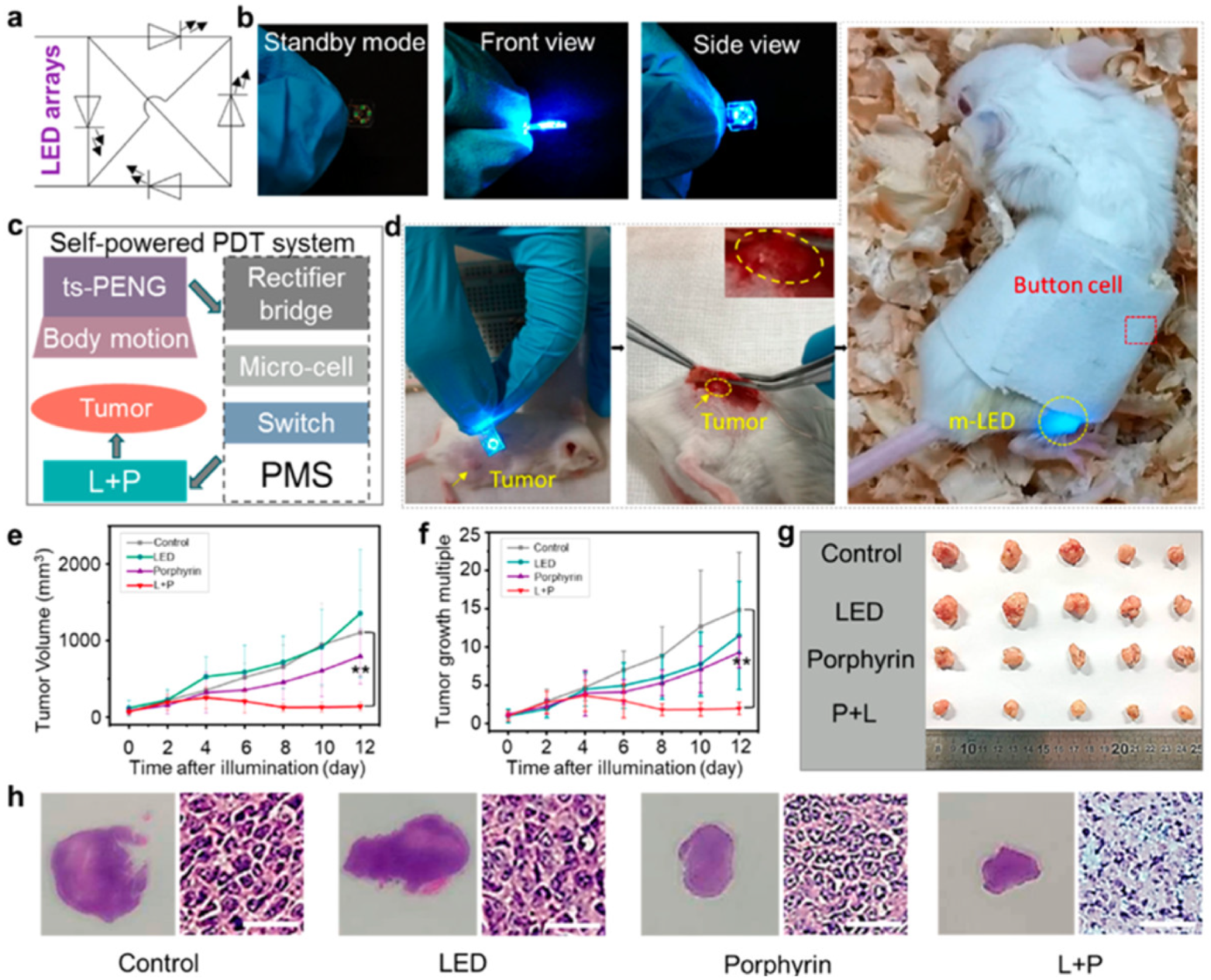 Nanomaterials 12 04403 g028 Nanomaterials 12 04403 g028