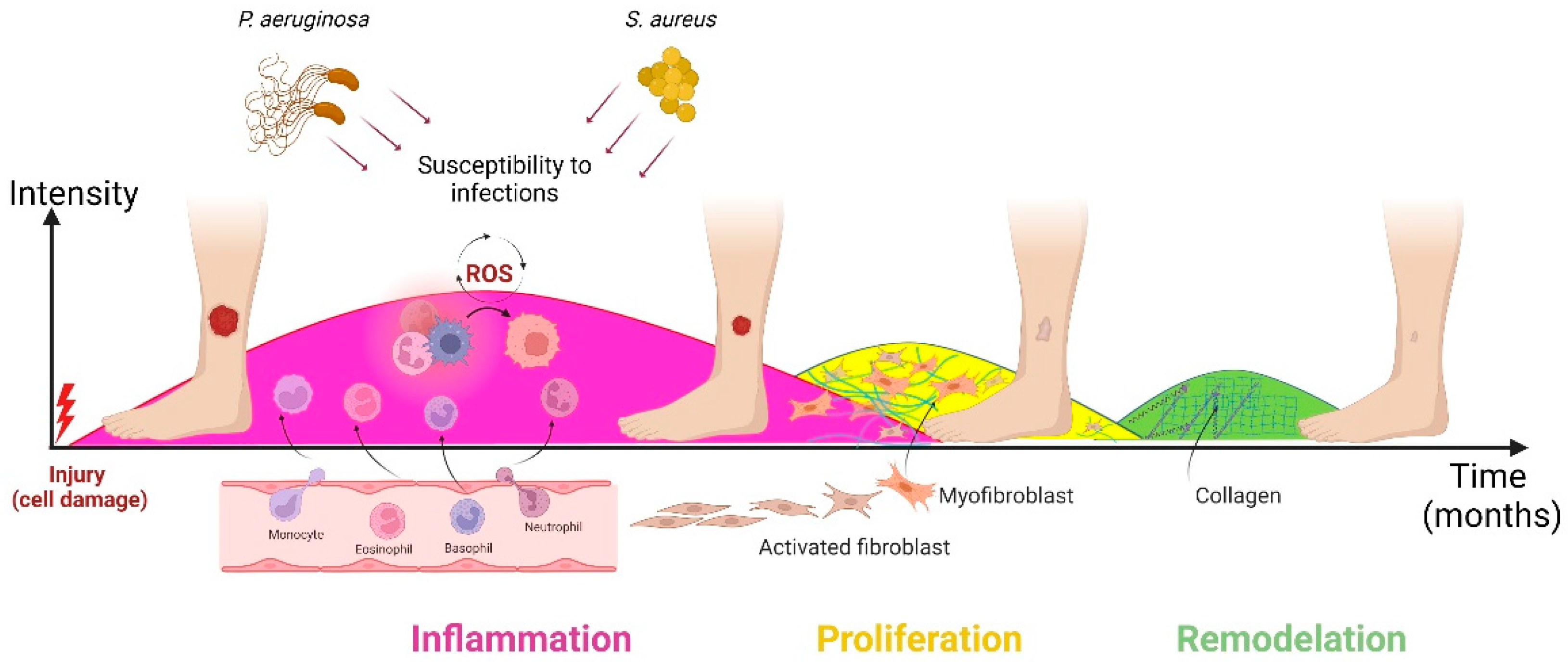 Nanomaterials 12 04409 g002