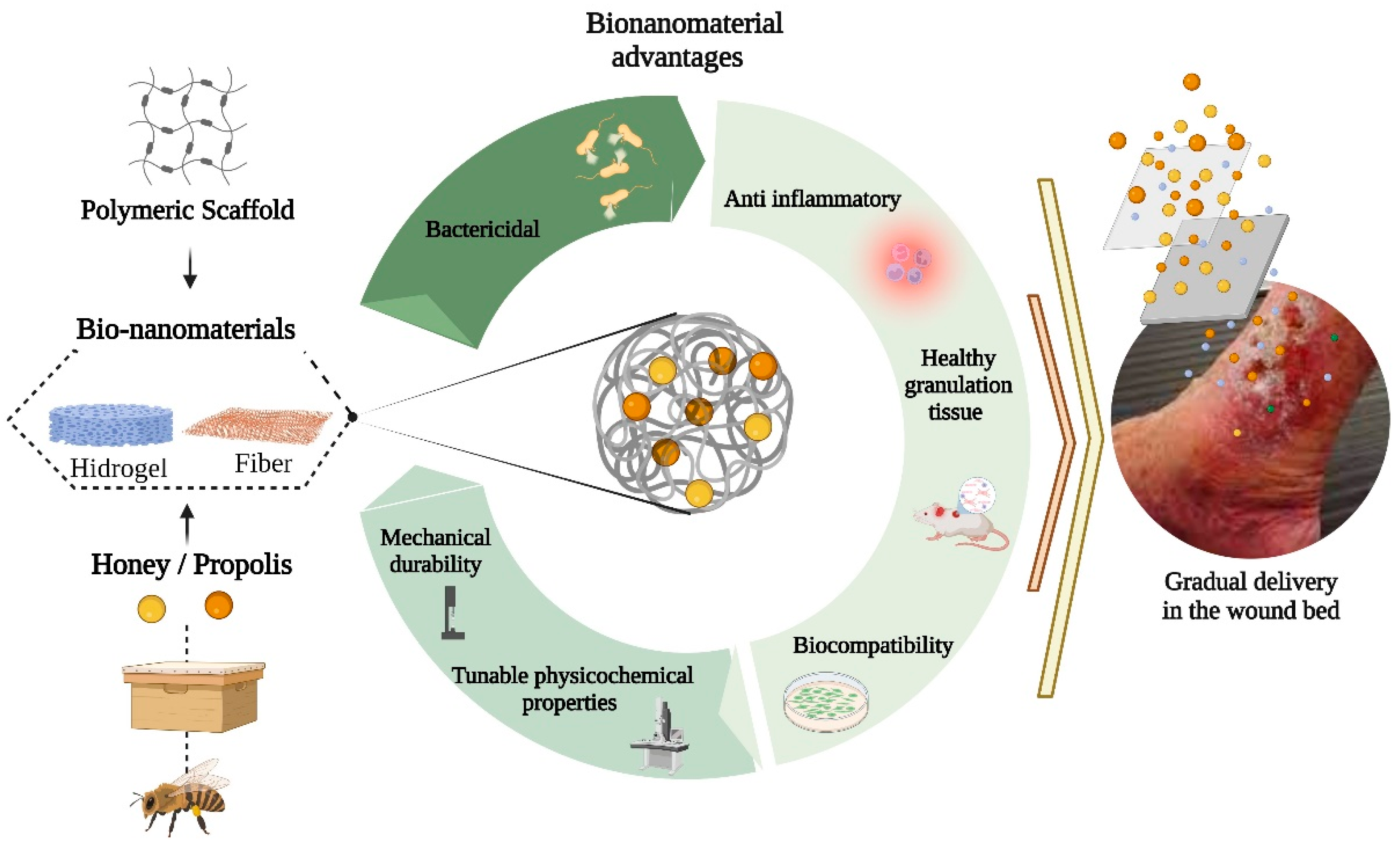 Nanomaterials 12 04409 g004
