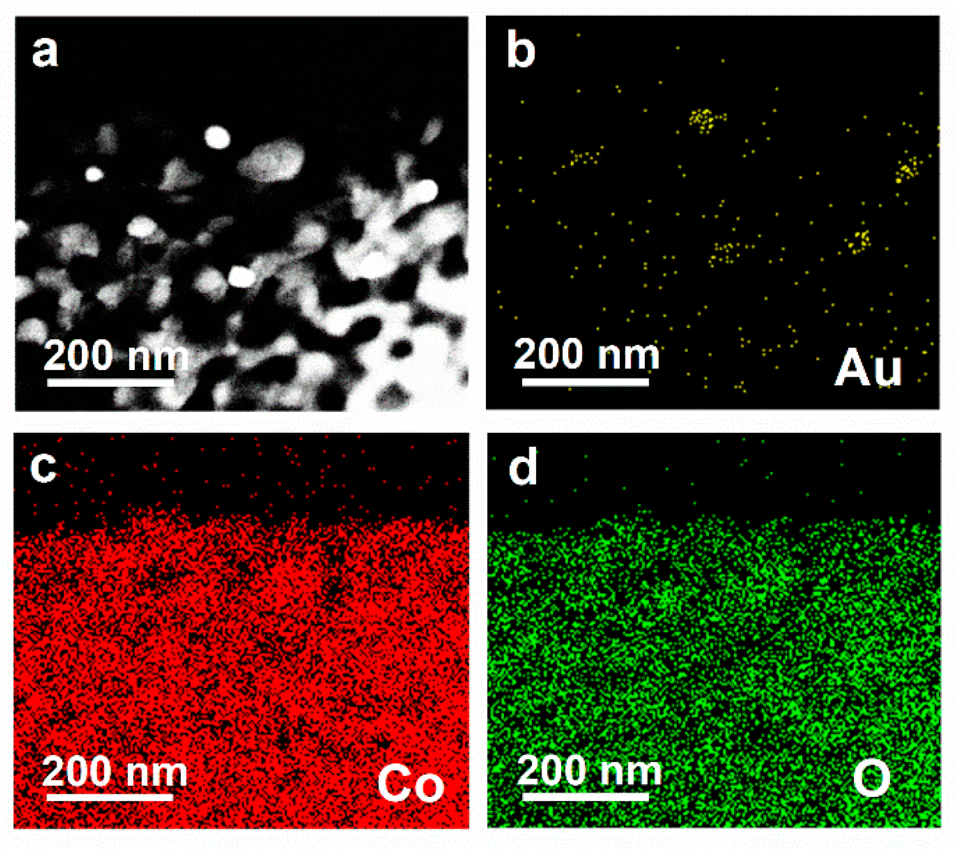 Nanomaterials 12 04419 g003
