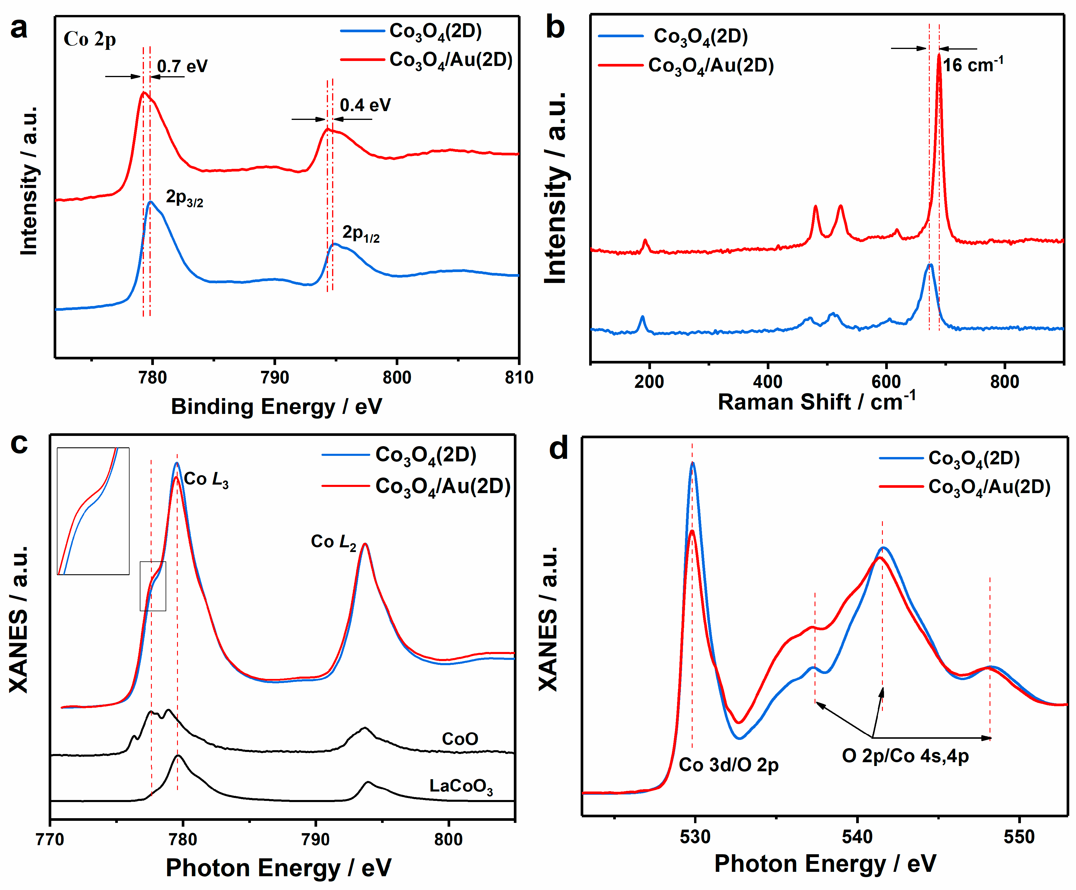 Nanomaterials 12 04419 g005