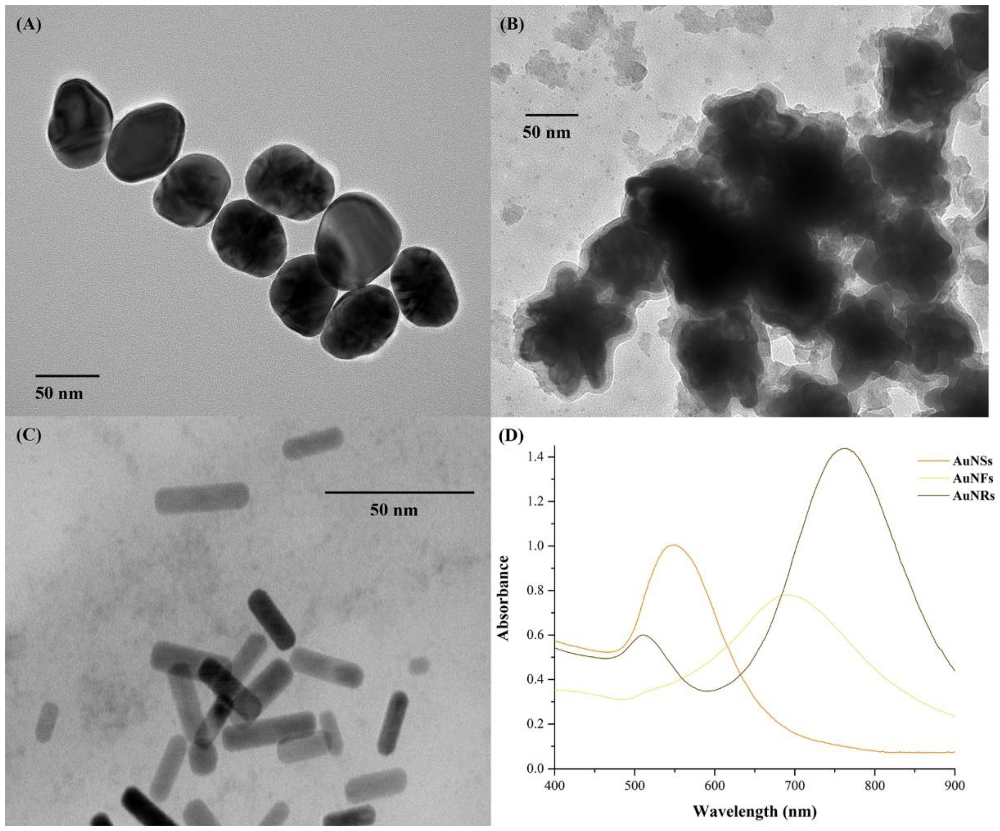 Nanomaterials 12 04434 g001 Nanomaterials 12 04434 g001