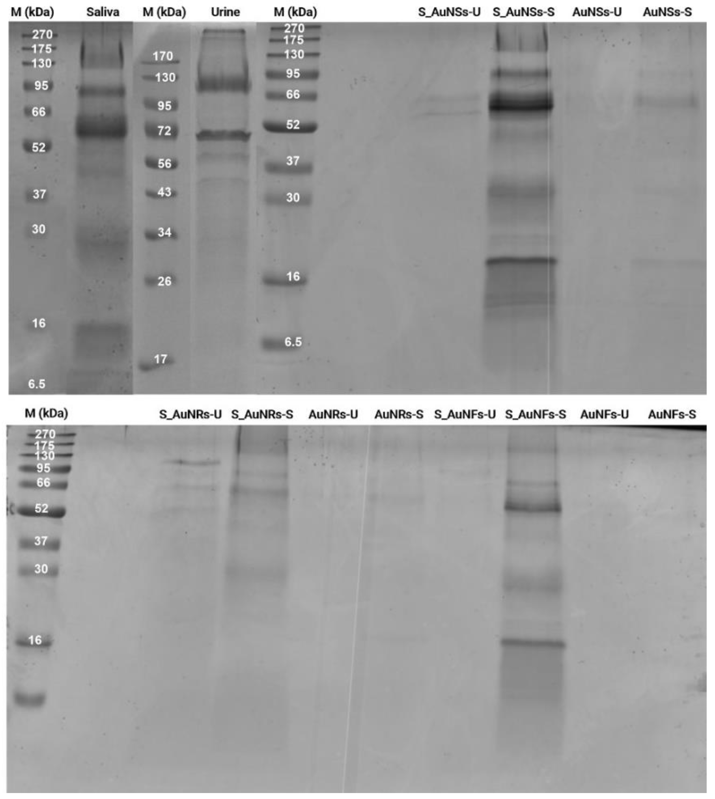 Nanomaterials 12 04434 g006 Nanomaterials 12 04434 g006