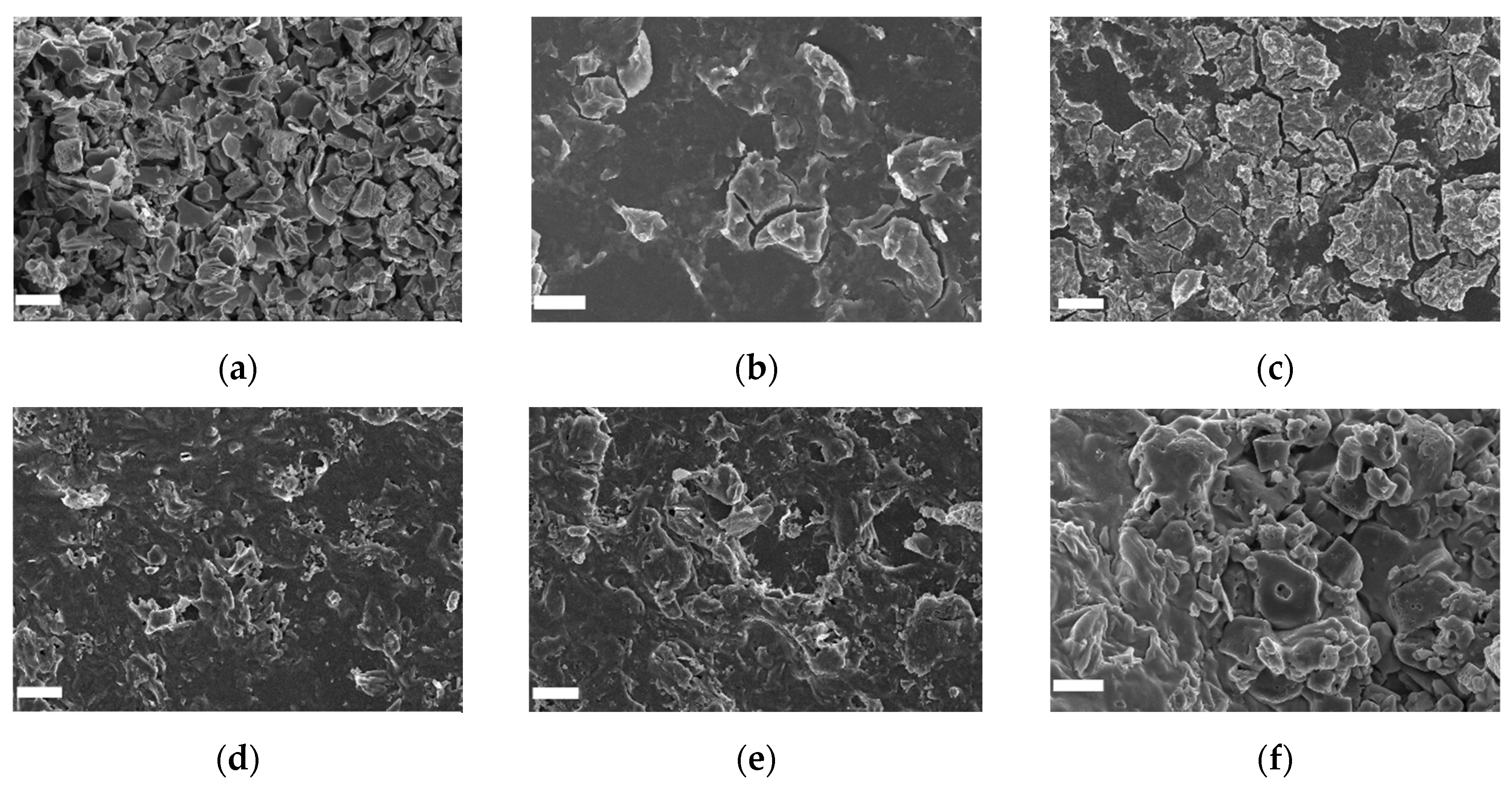 Nanomaterials 12 04464 g004 Nanomaterials 12 04464 g004