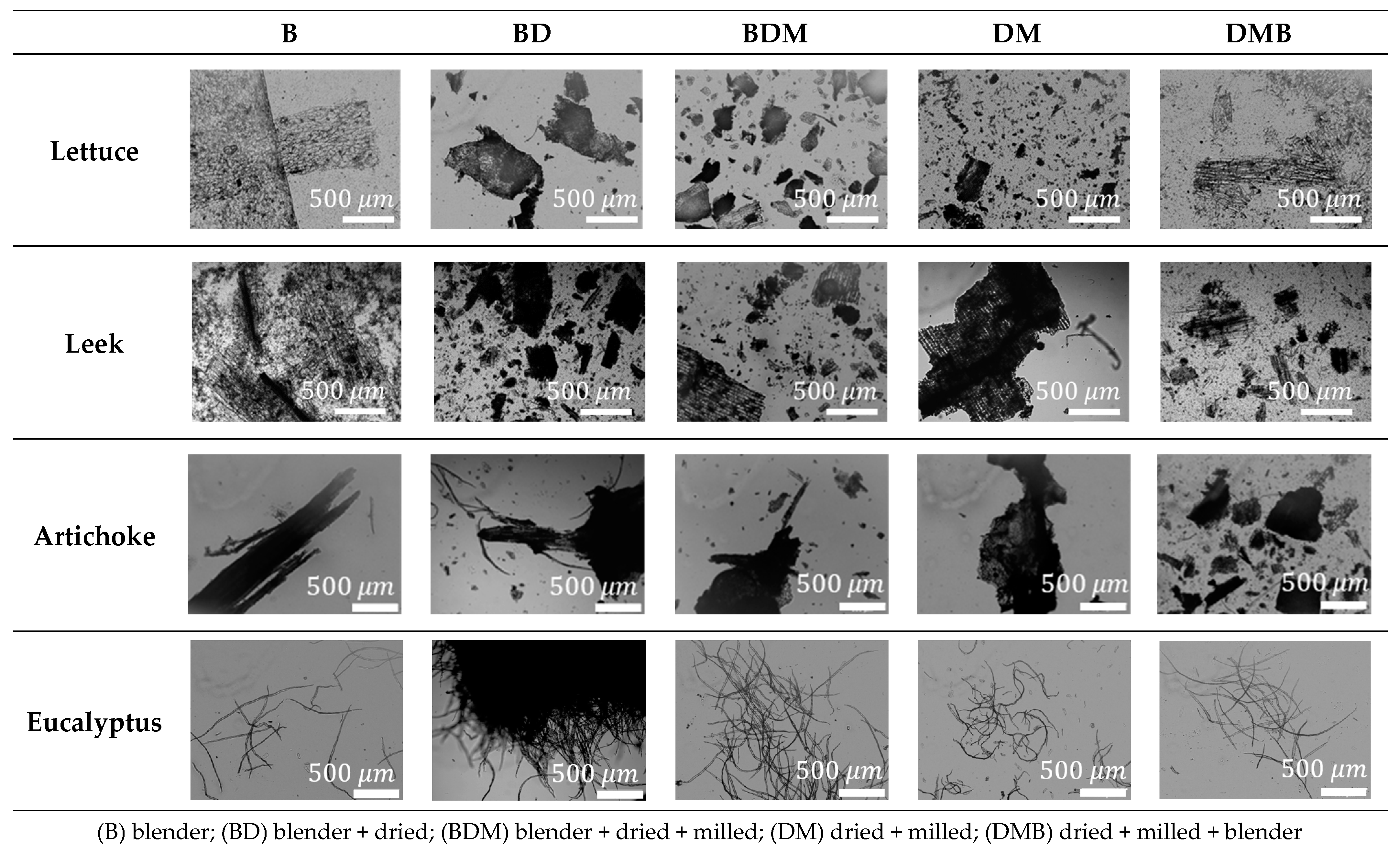 Nanomaterials 12 04499 g002 Nanomaterials 12 04499 g002
