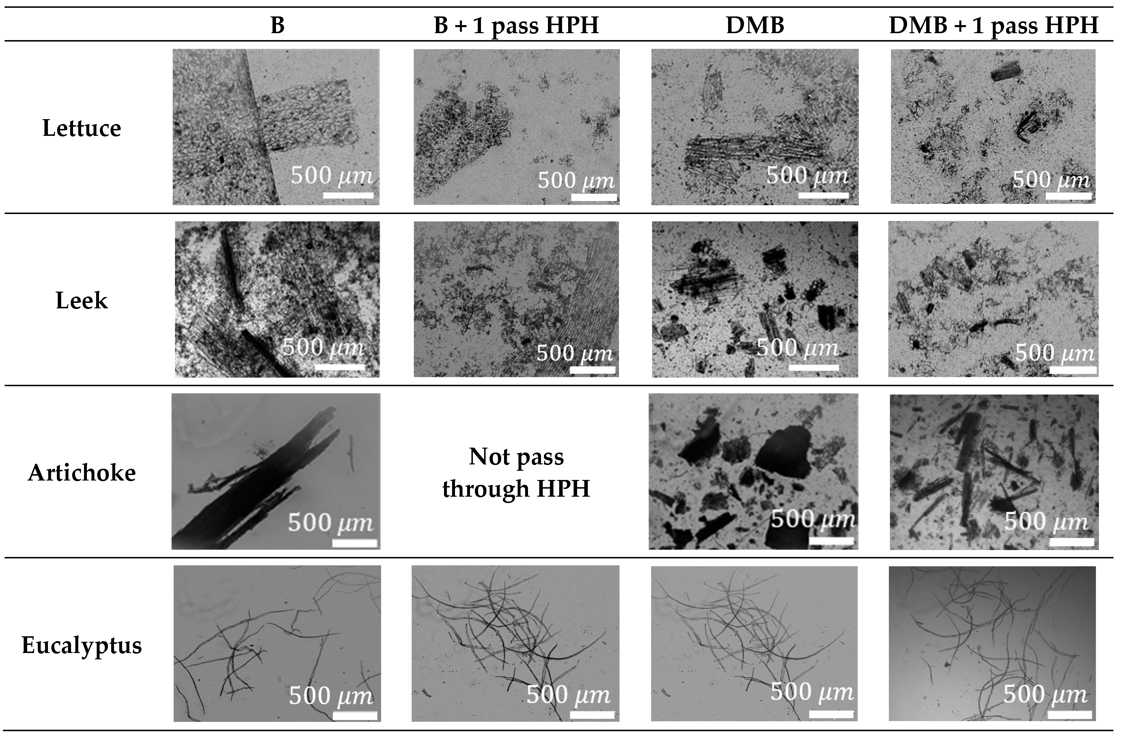 Nanomaterials 12 04499 g003 Nanomaterials 12 04499 g003