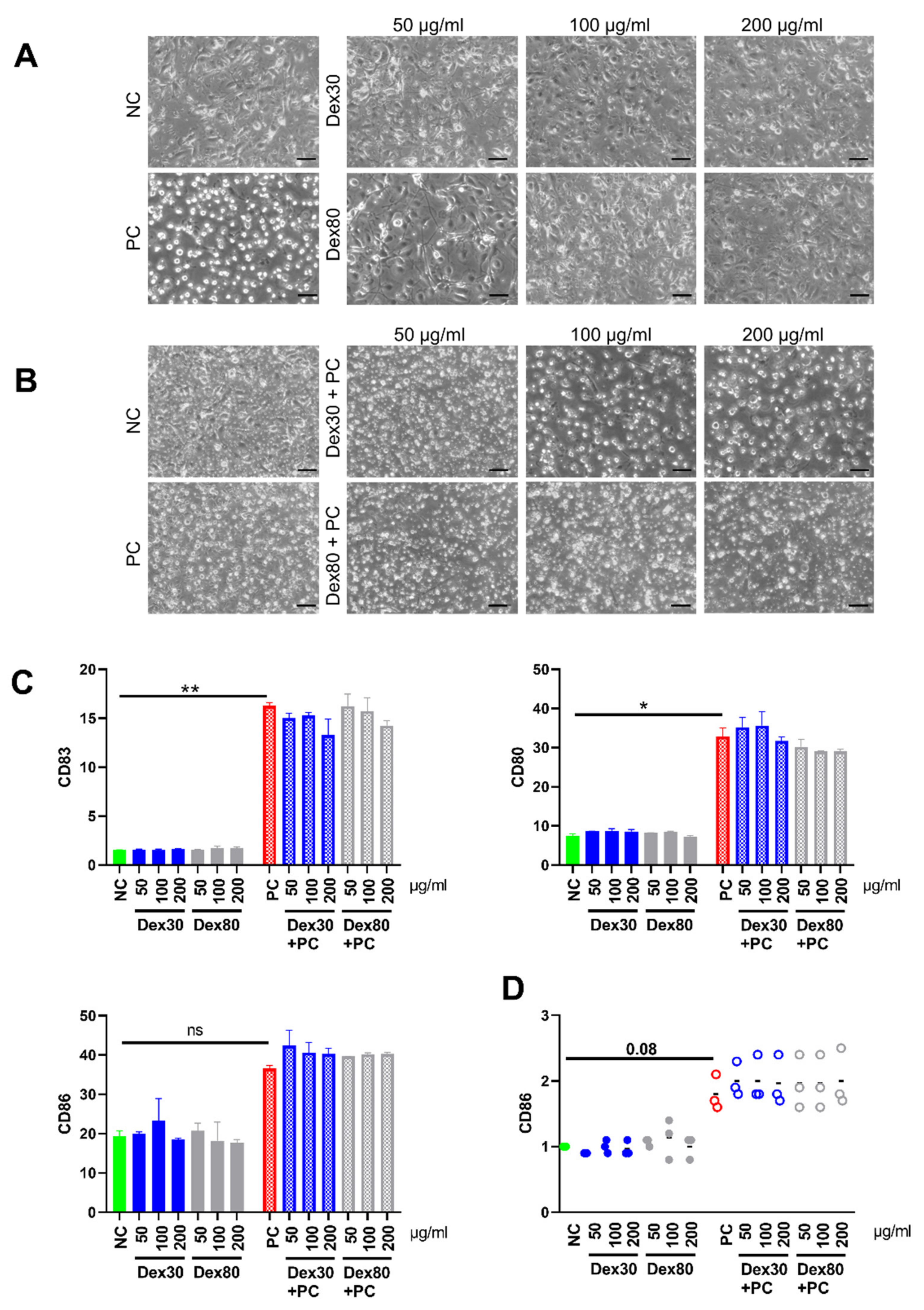Nanomaterials 13 00014 g004