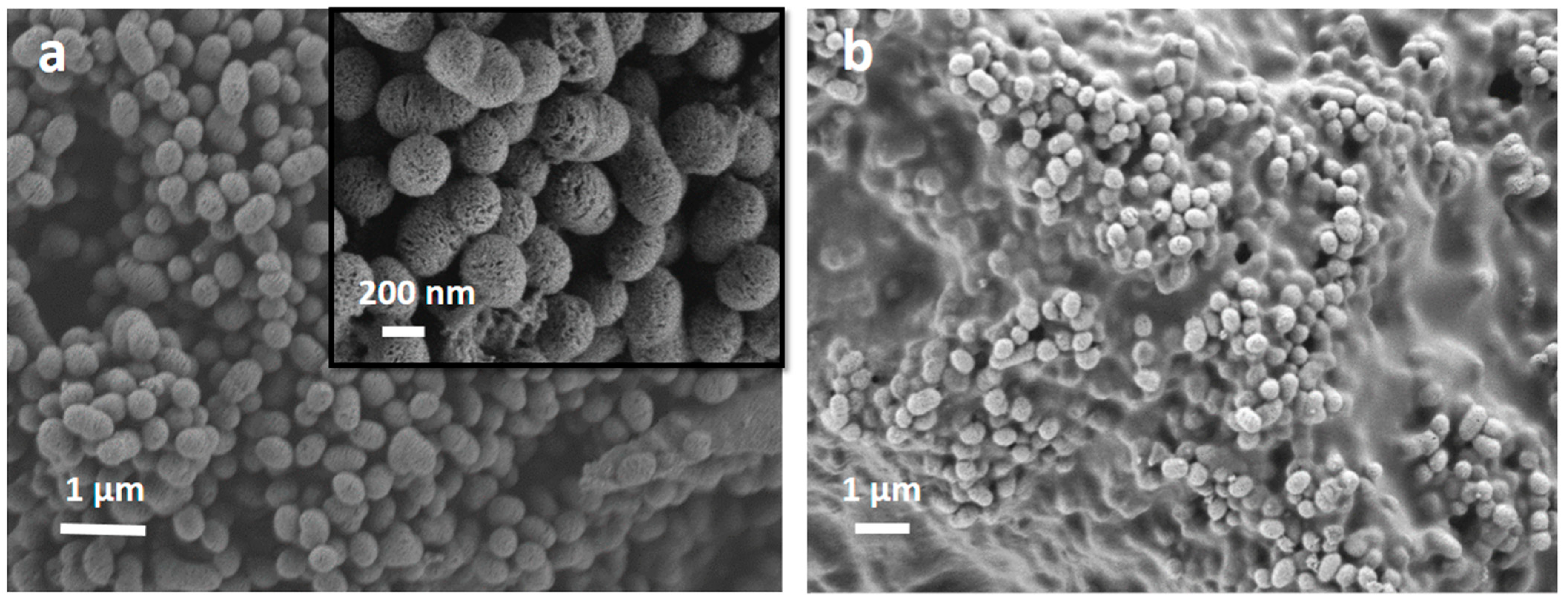 Nanomaterials 13 00034 g002 Nanomaterials 13 00034 g002
