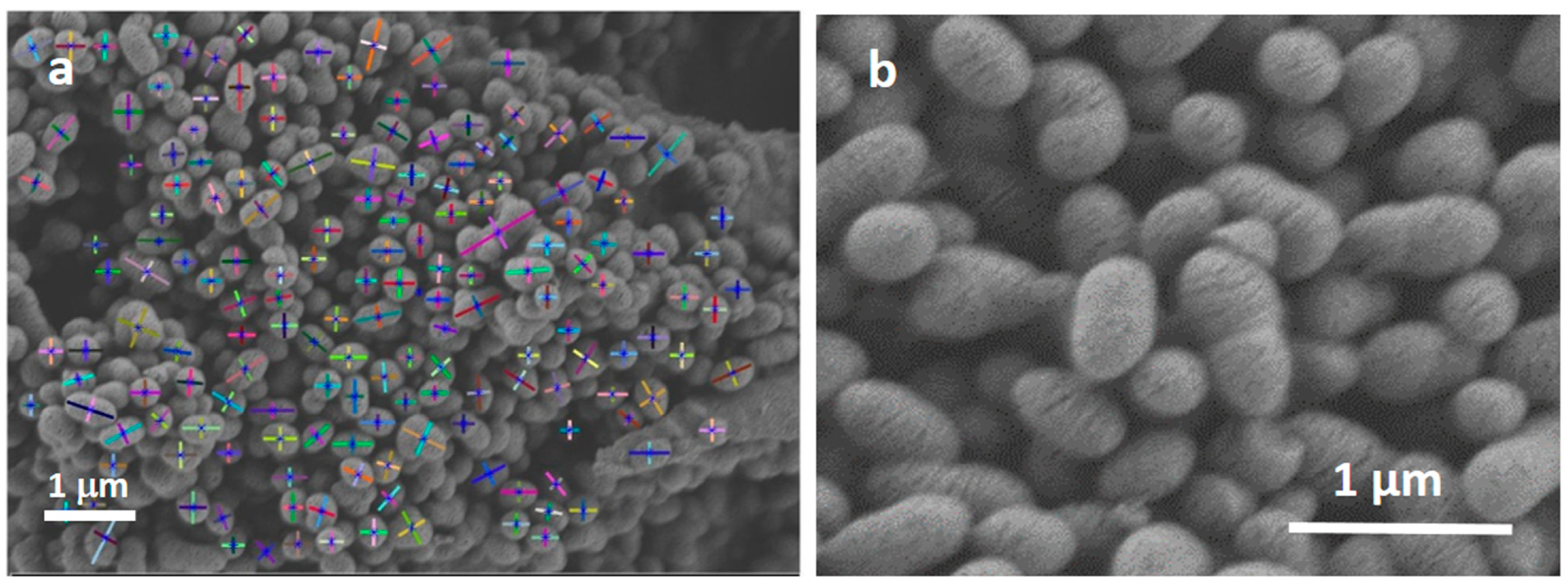 Nanomaterials 13 00034 g004 Nanomaterials 13 00034 g004