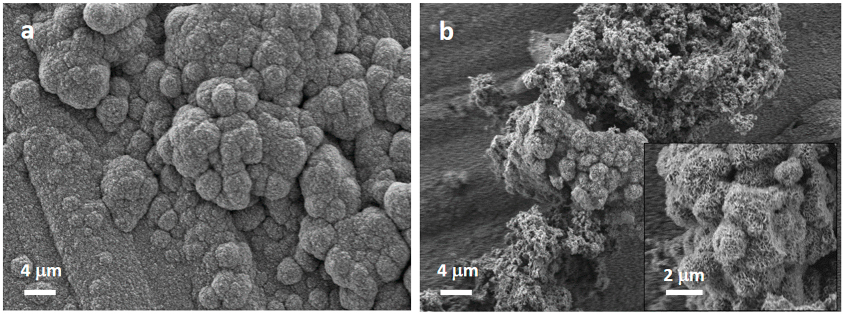 Nanomaterials 13 00034 g007 Nanomaterials 13 00034 g007